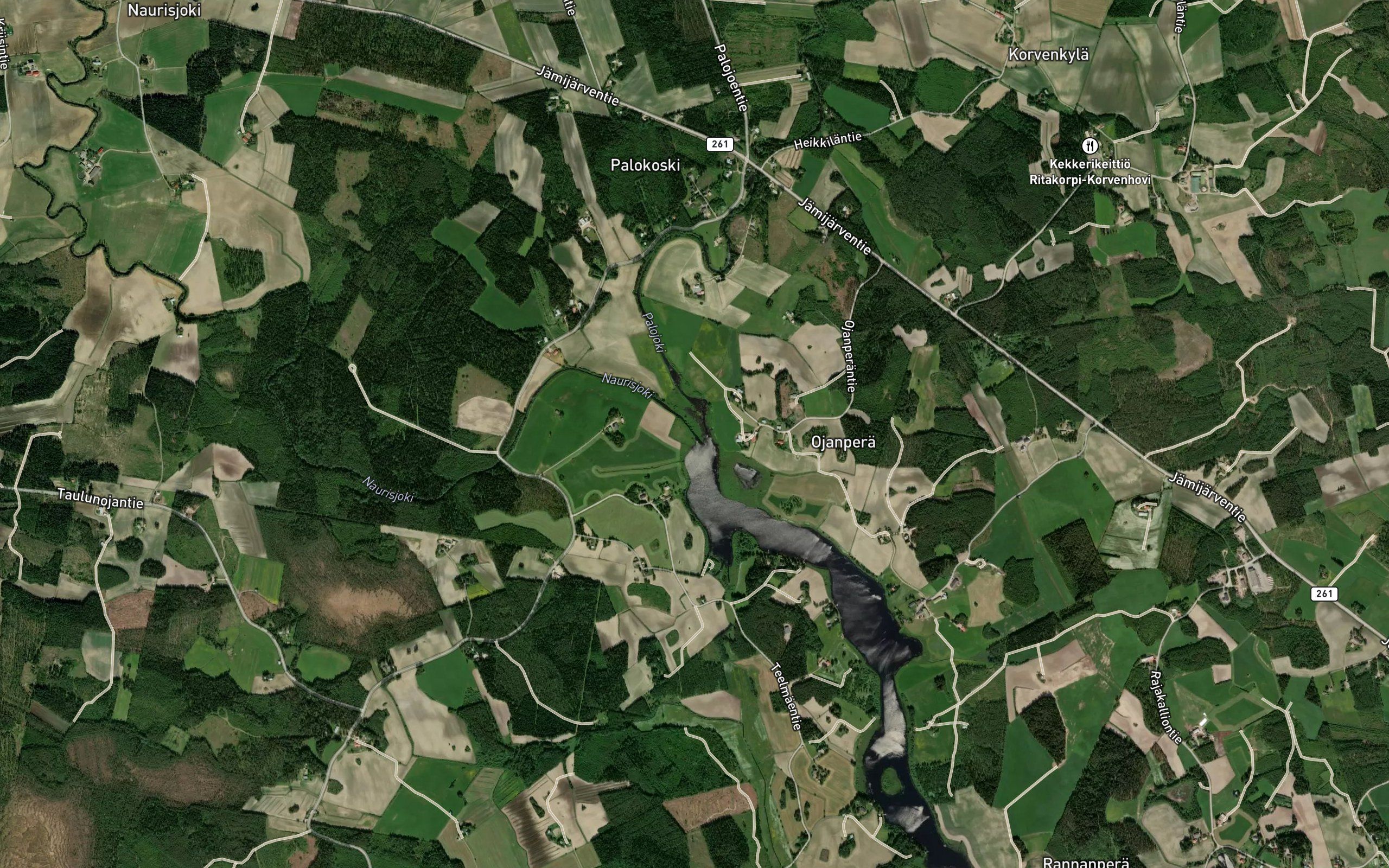 Naurisjoki