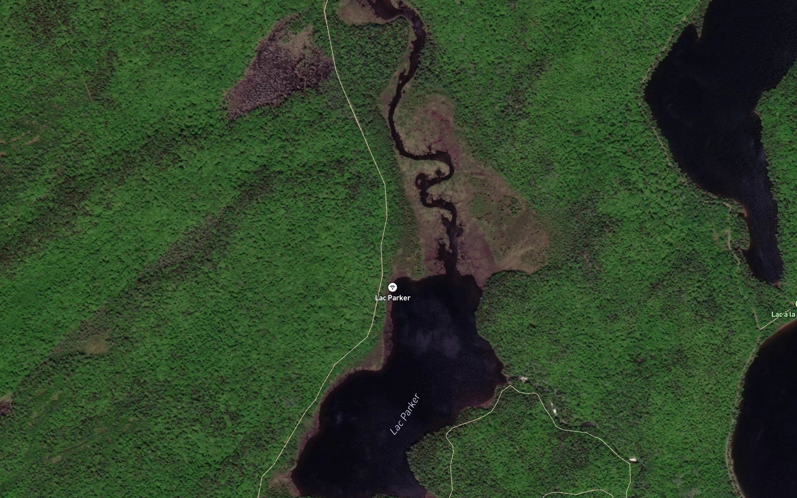 Lac Parker