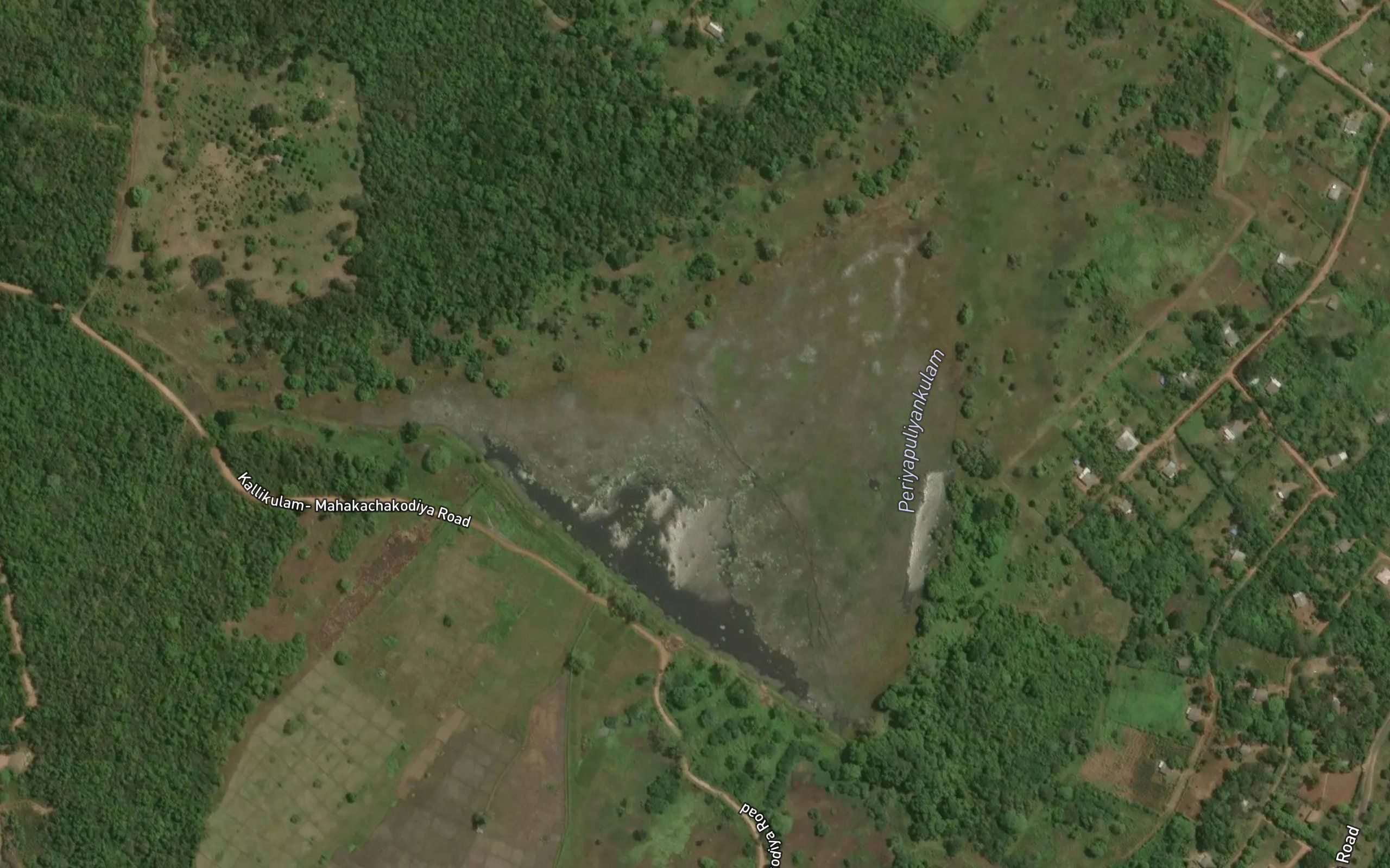Periyapuliyan Kulam
