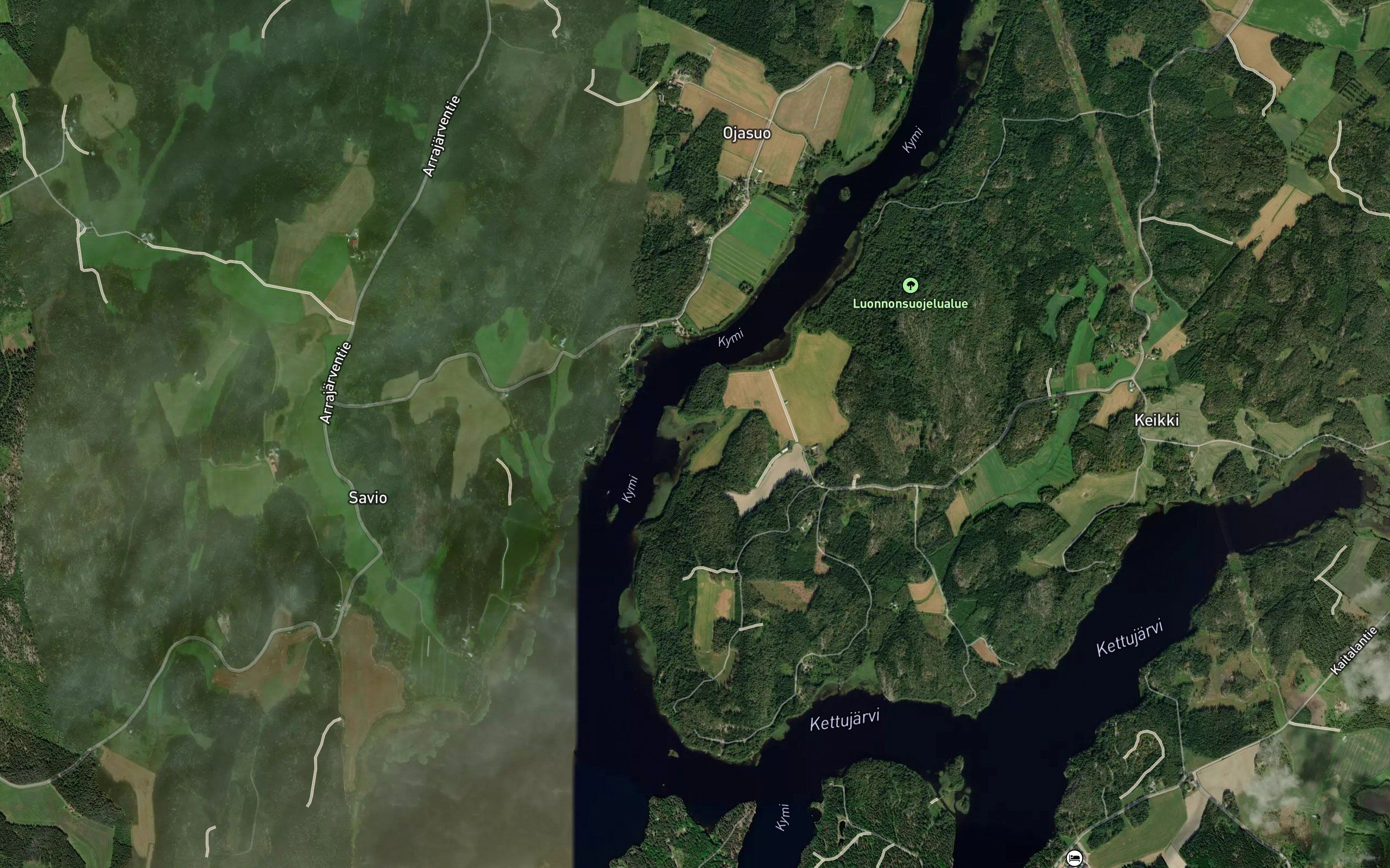 Pitkalahti