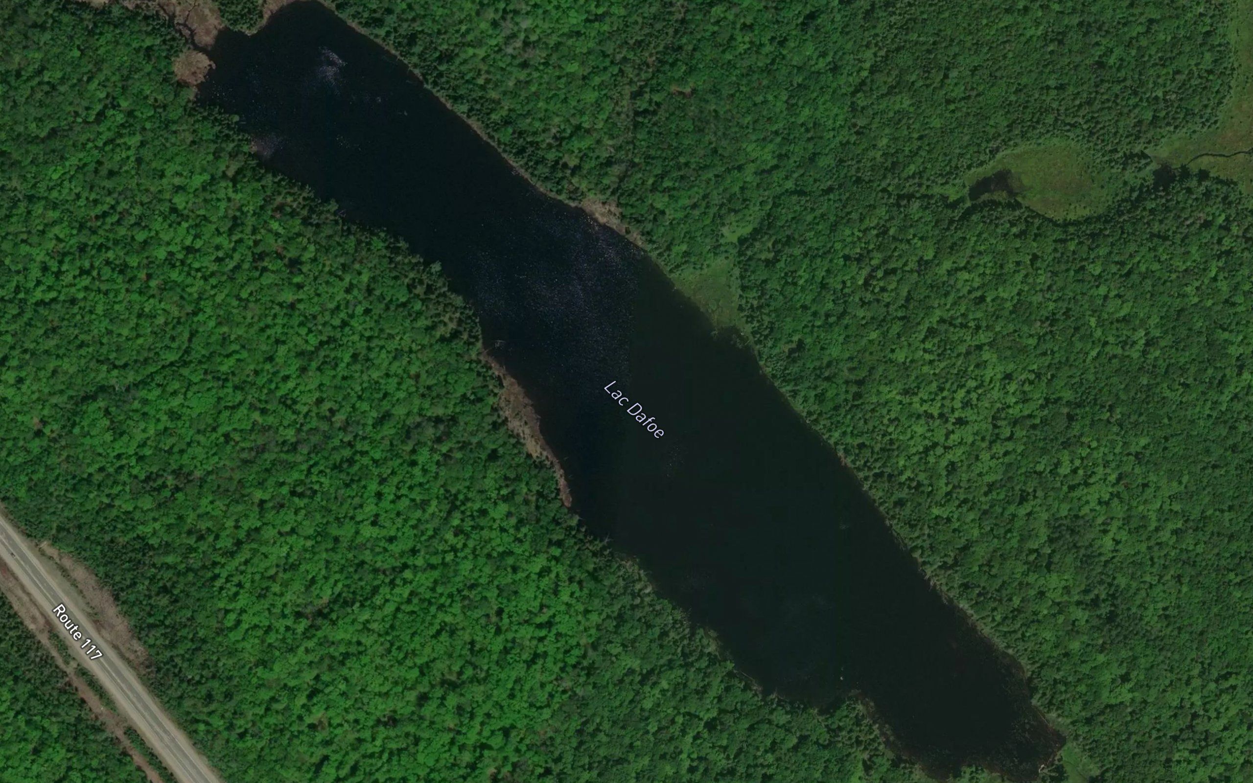 Lac Dafoe