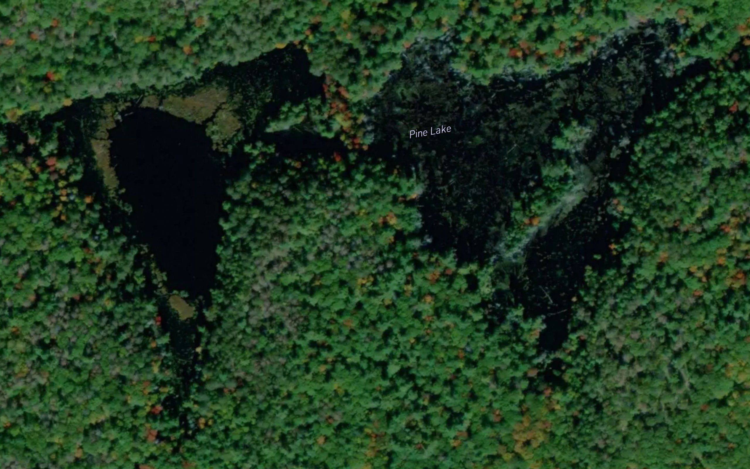 Pine Lake