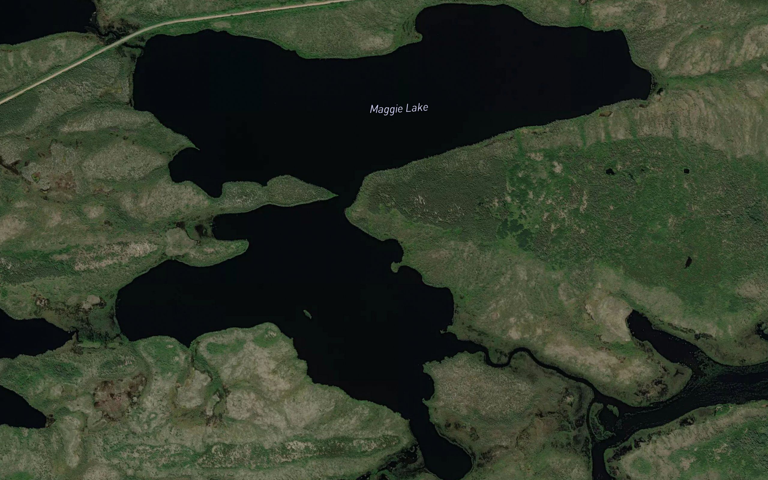 Maggie Lake