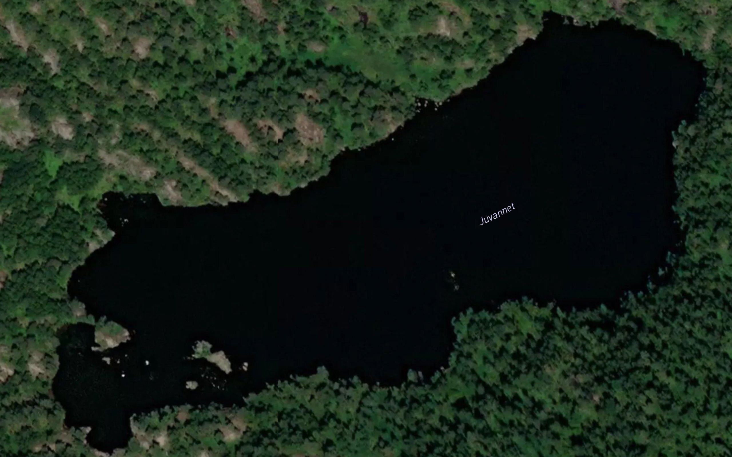 Juvannet