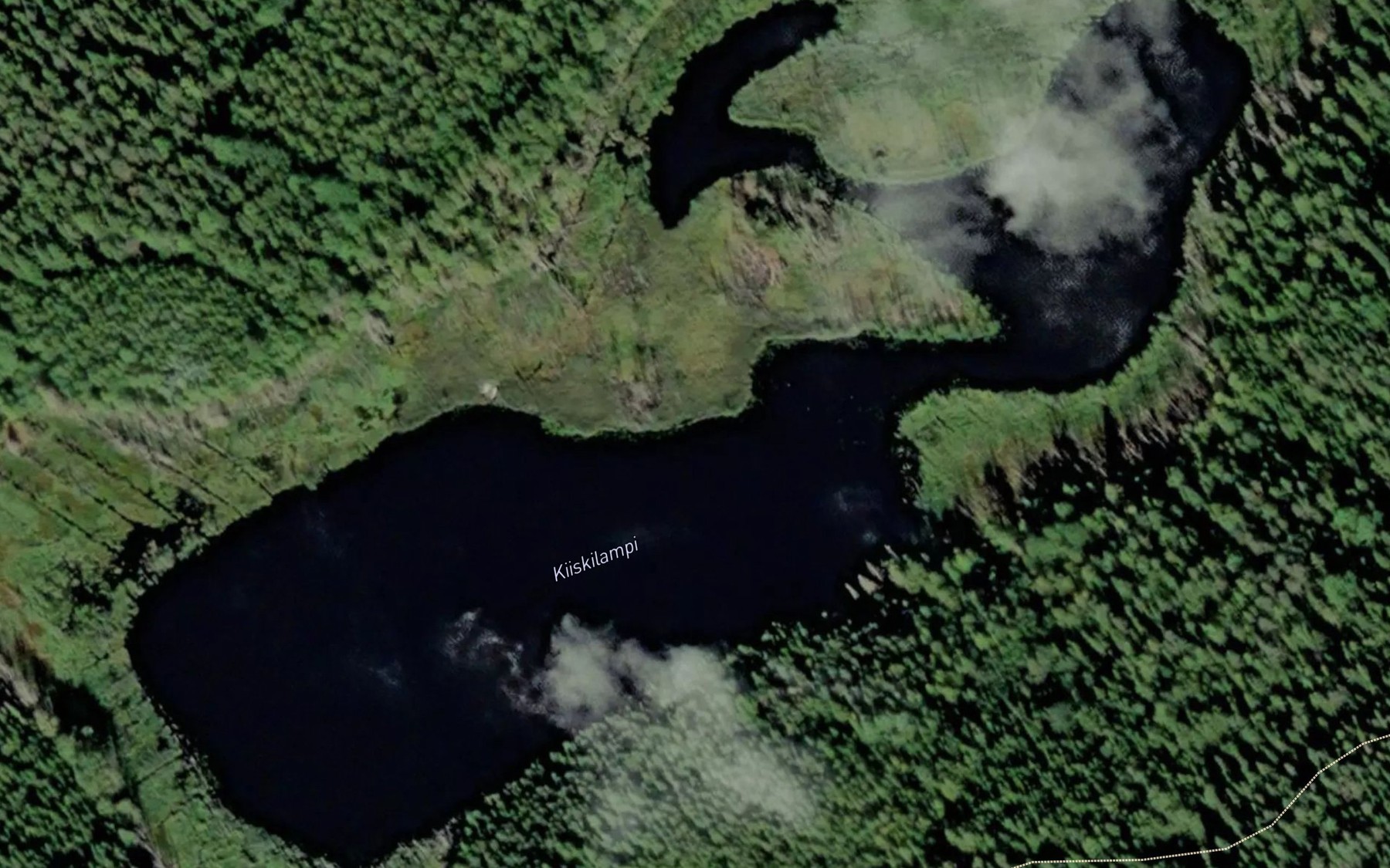 Satellite map of the Kiiskilampi