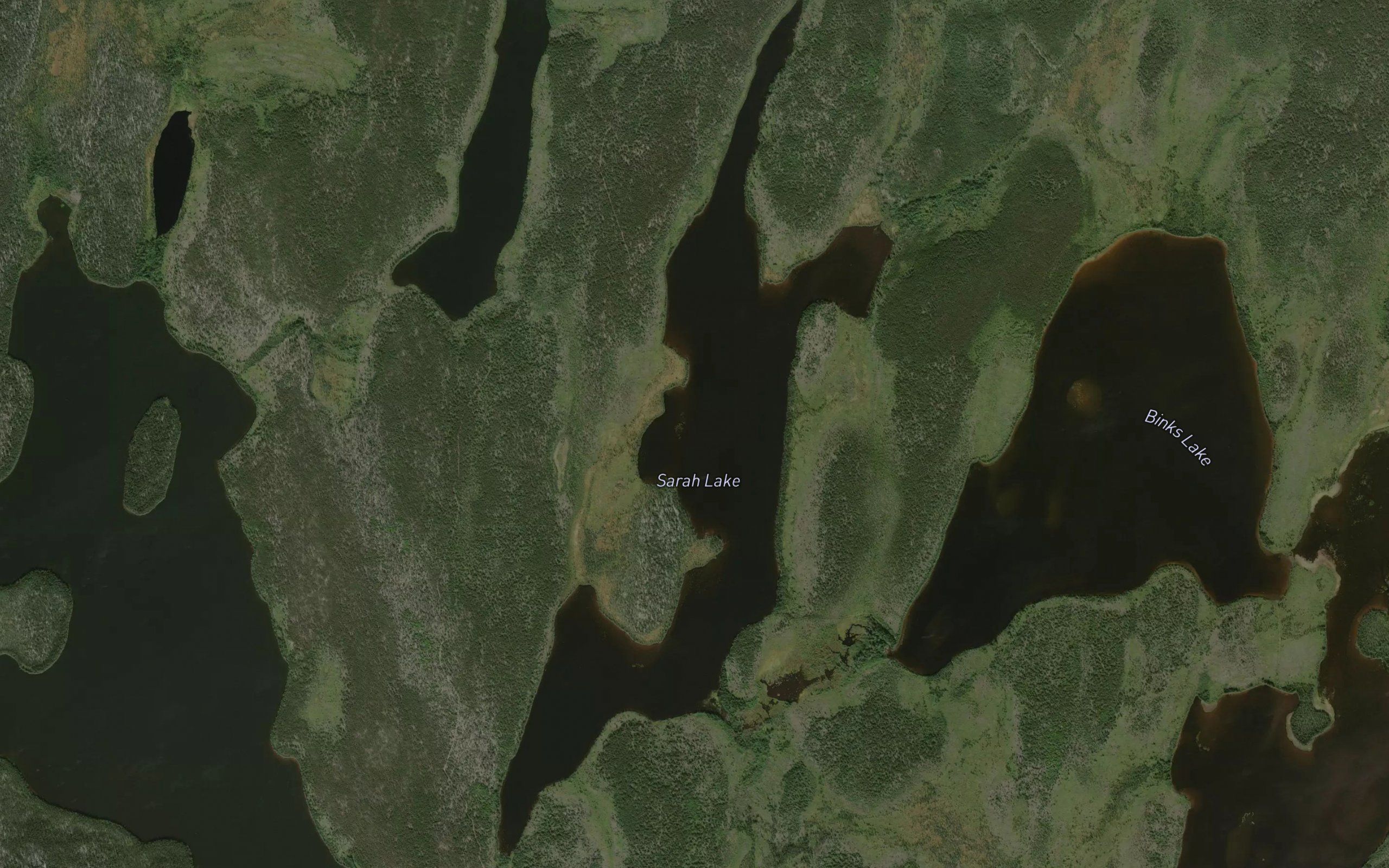 Sarah Lake