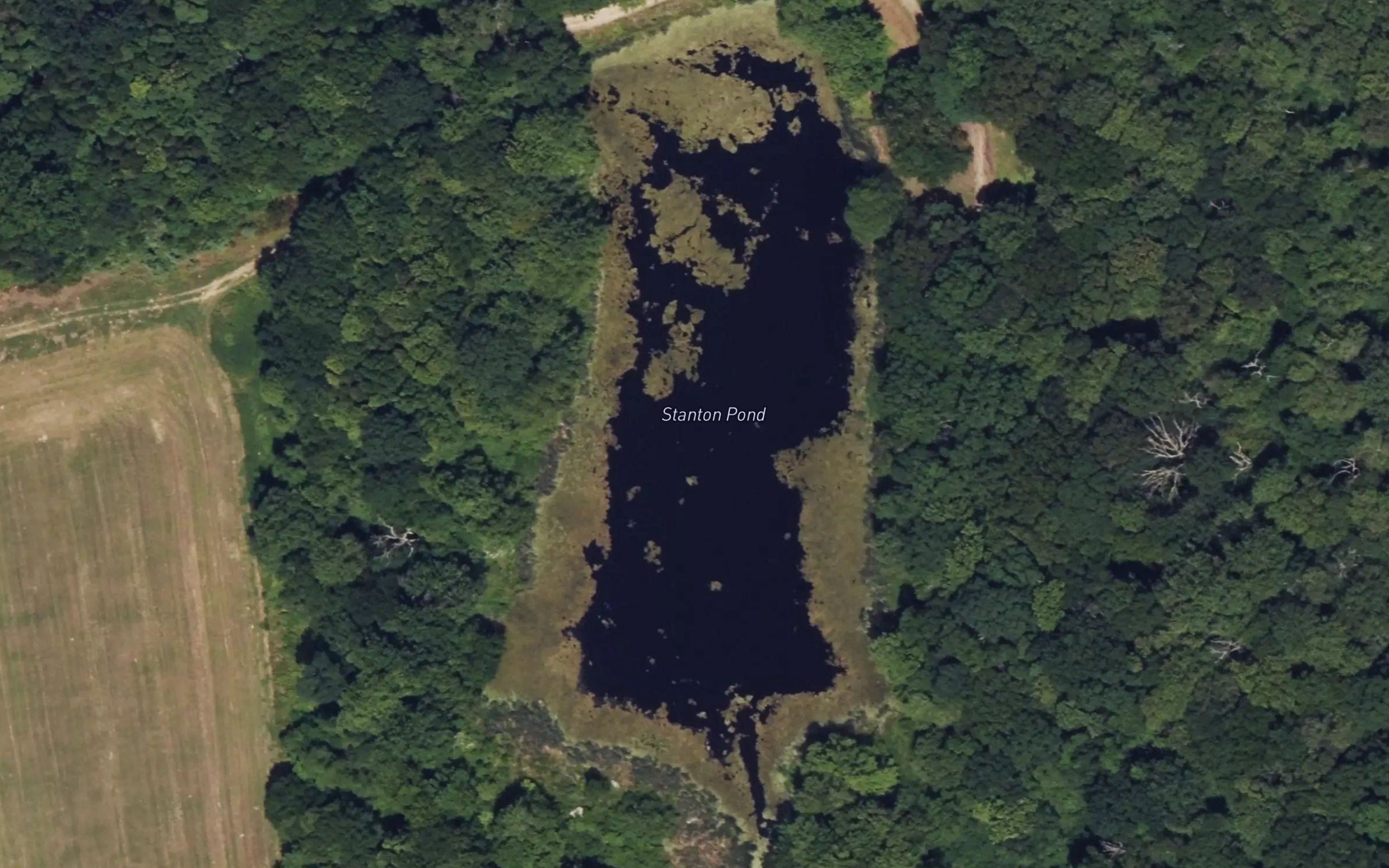 Stanton Pond