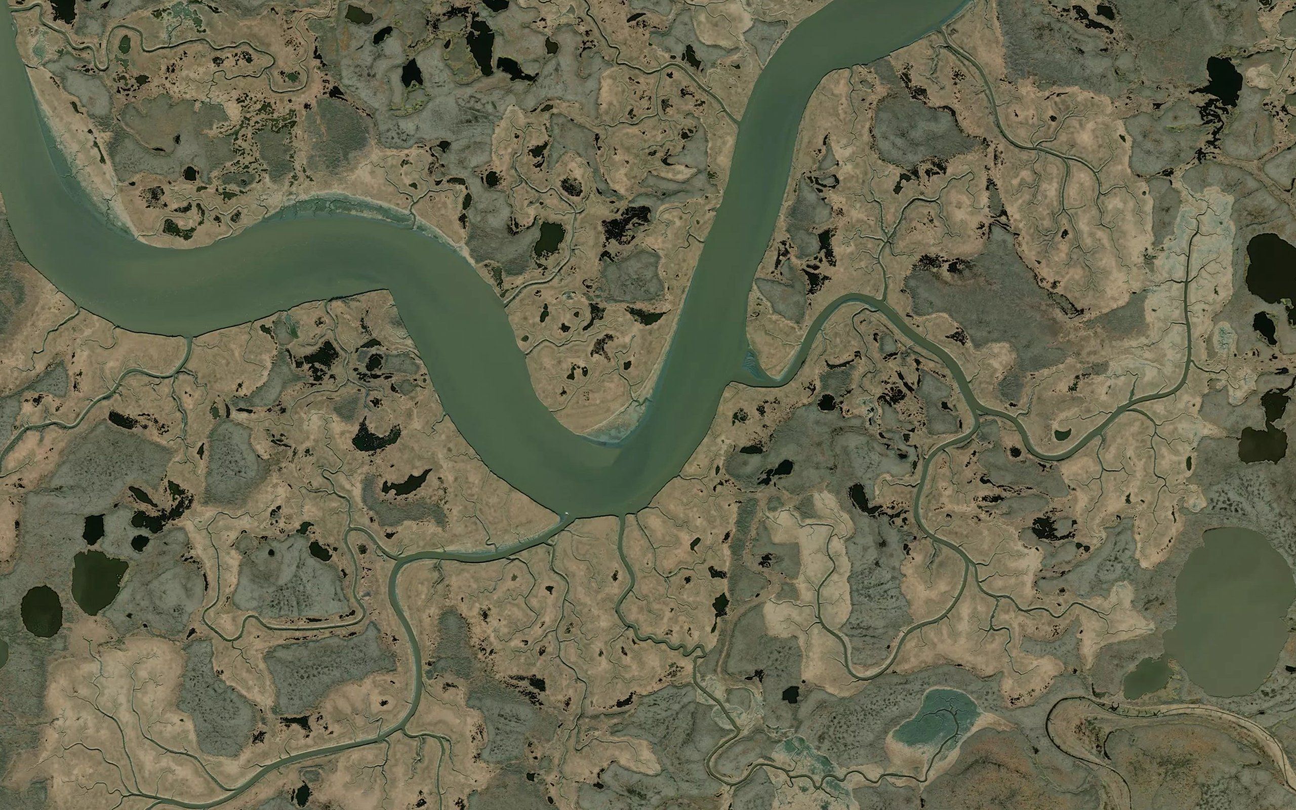 Apokak Slough