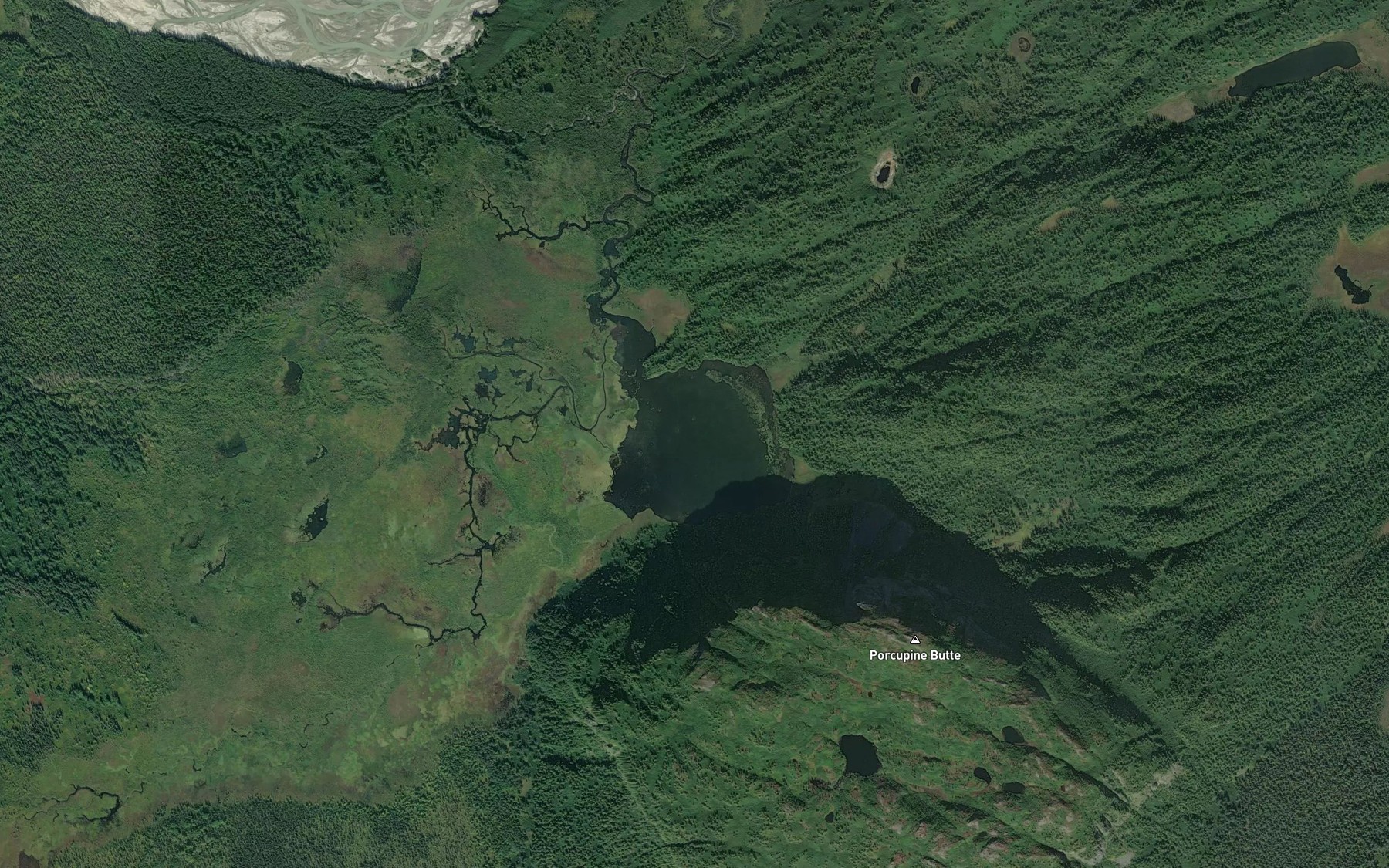 Satellite map of the Red Salmon Lake