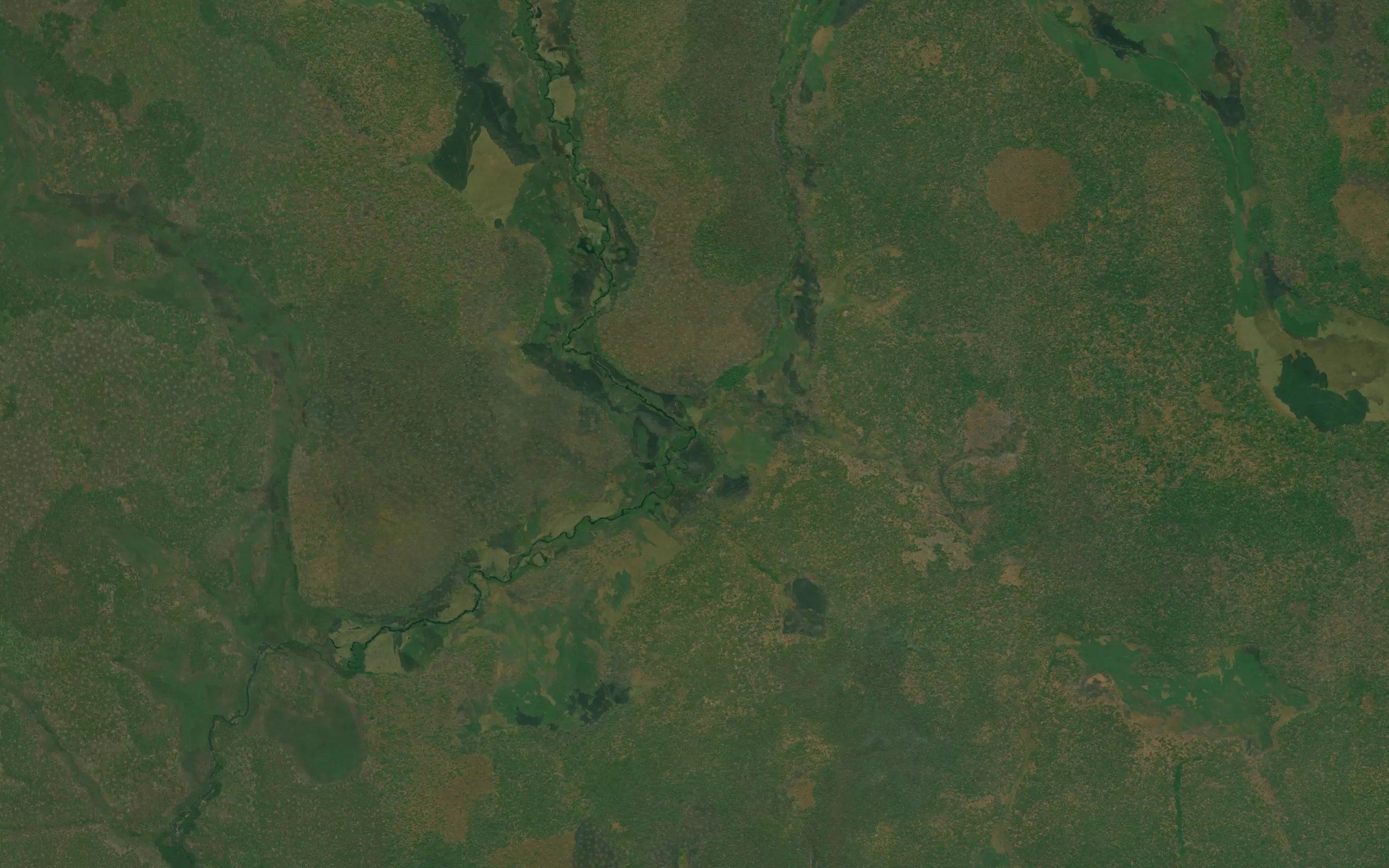Canhagi