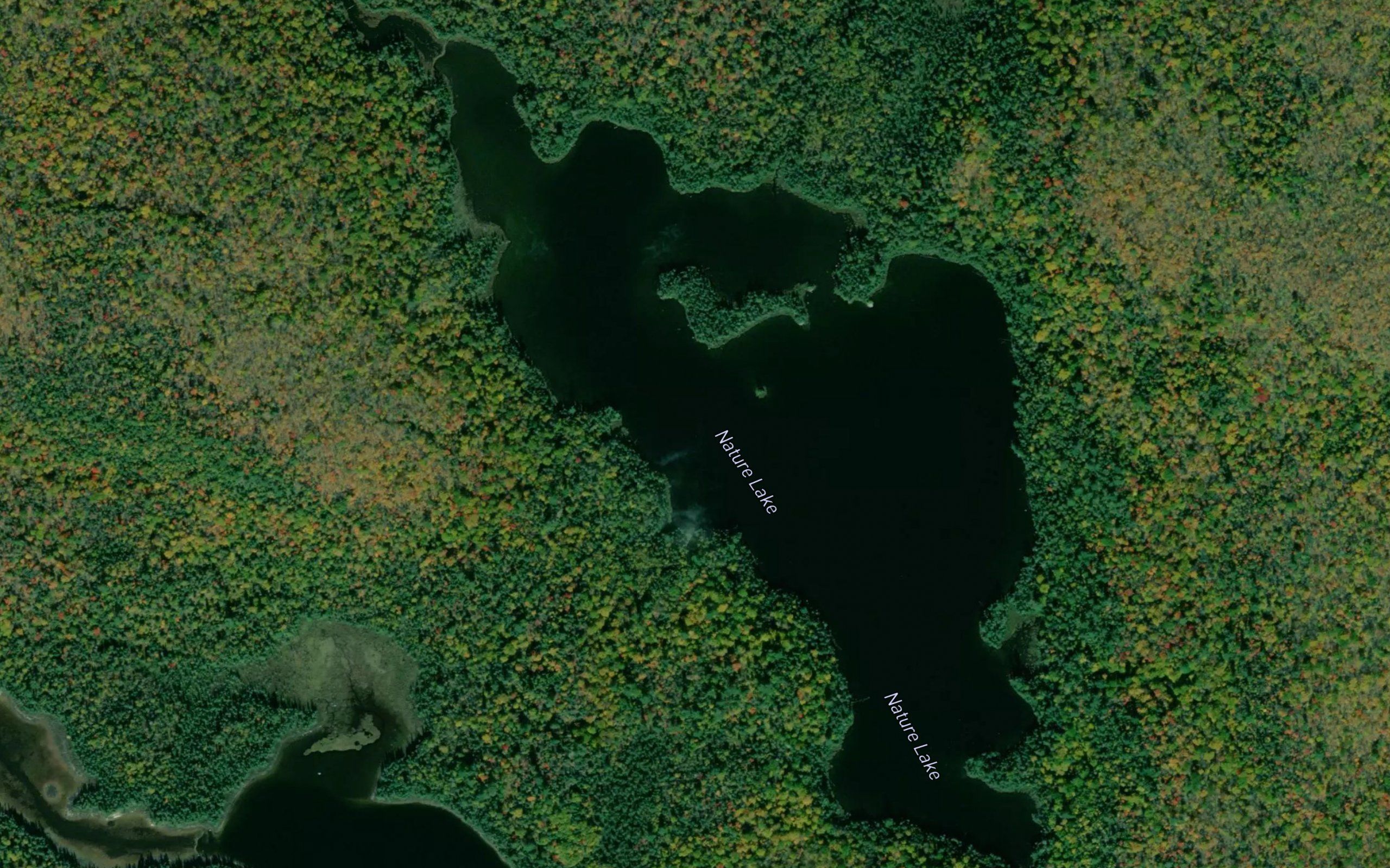 Nature Lake