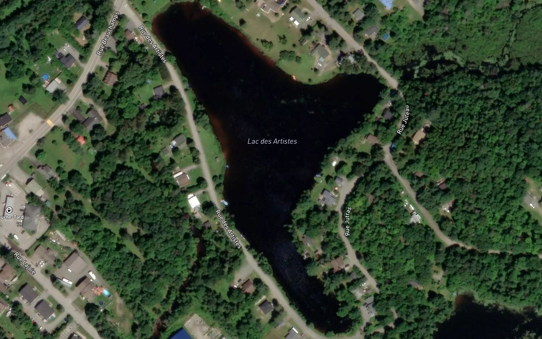 Satellite map of the Lac des Artistes
