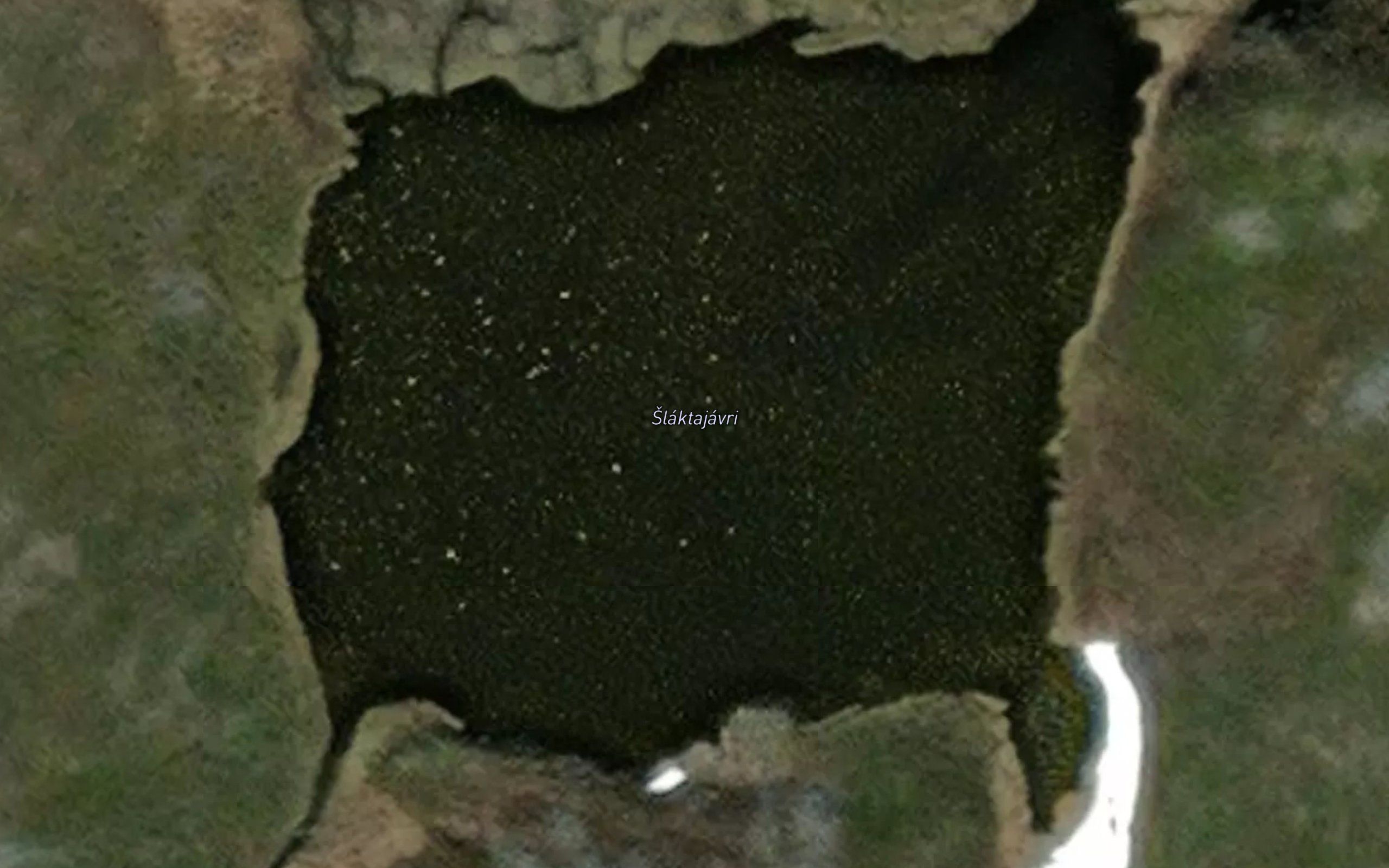 Slaktajavri