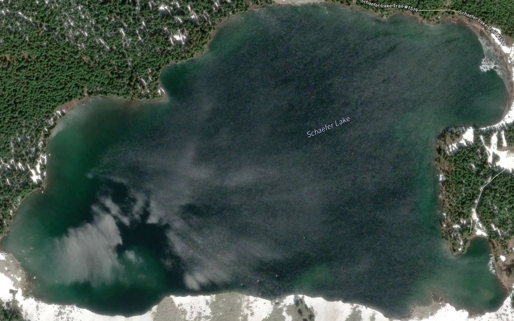 Satellite map of the Schaefer Lake
