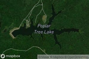 Poplar Tree Lake