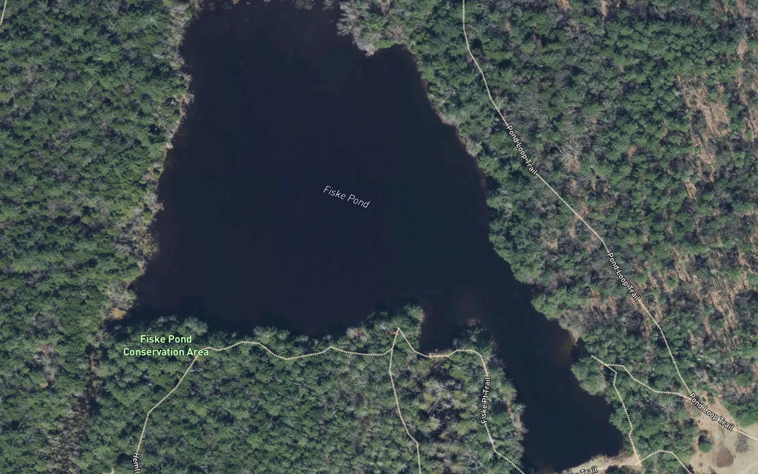 Fiske Pond