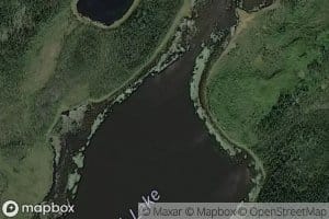 Lush Lake