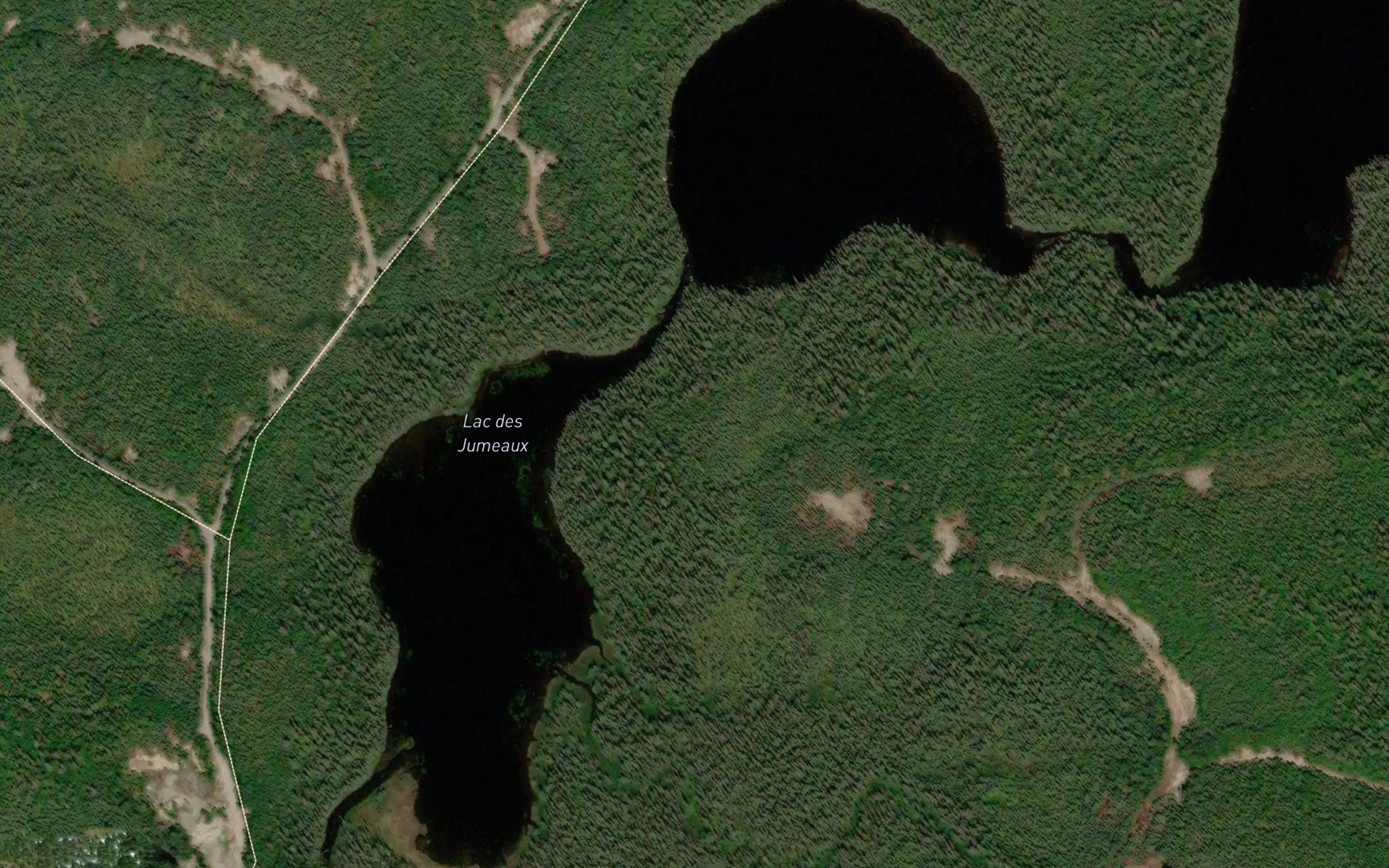 Satellite map of the Lac des Jumeaux
