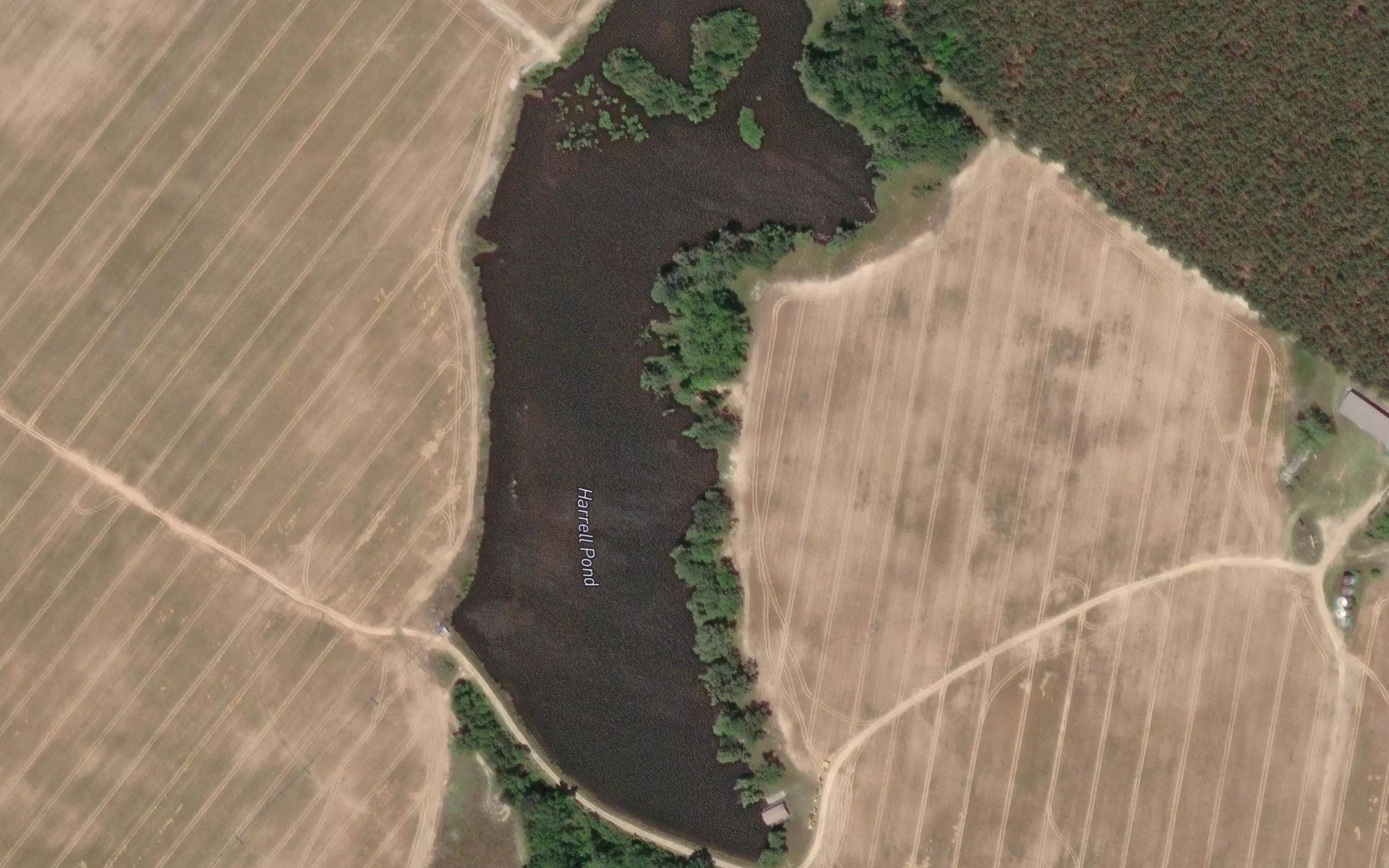 Harrell Pond