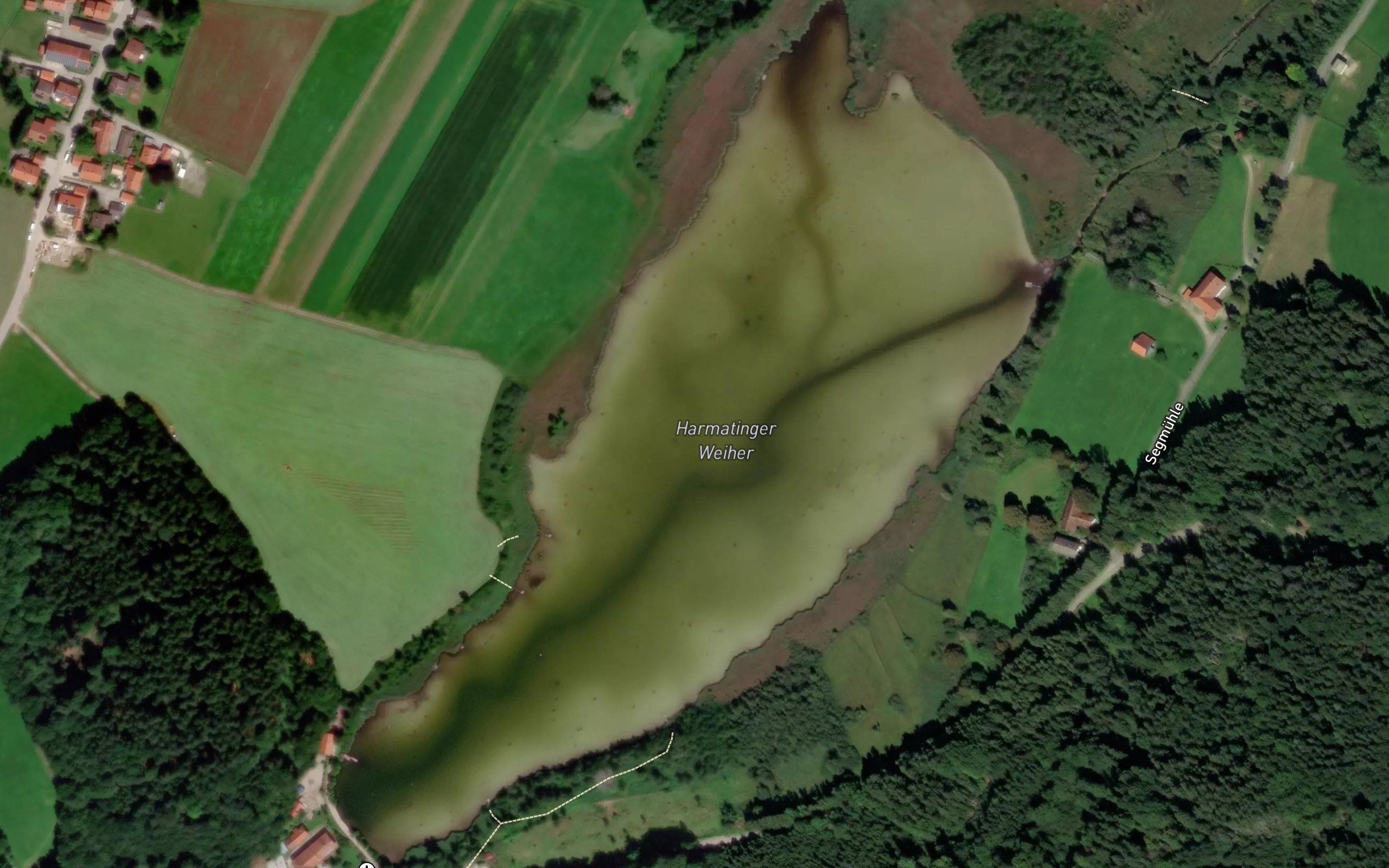 Grosser Weiher
