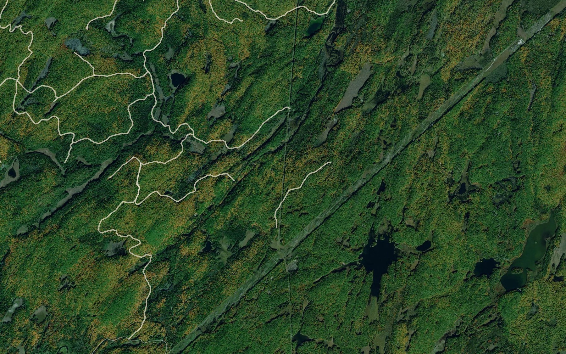 Satellite map of the Peterson Creek