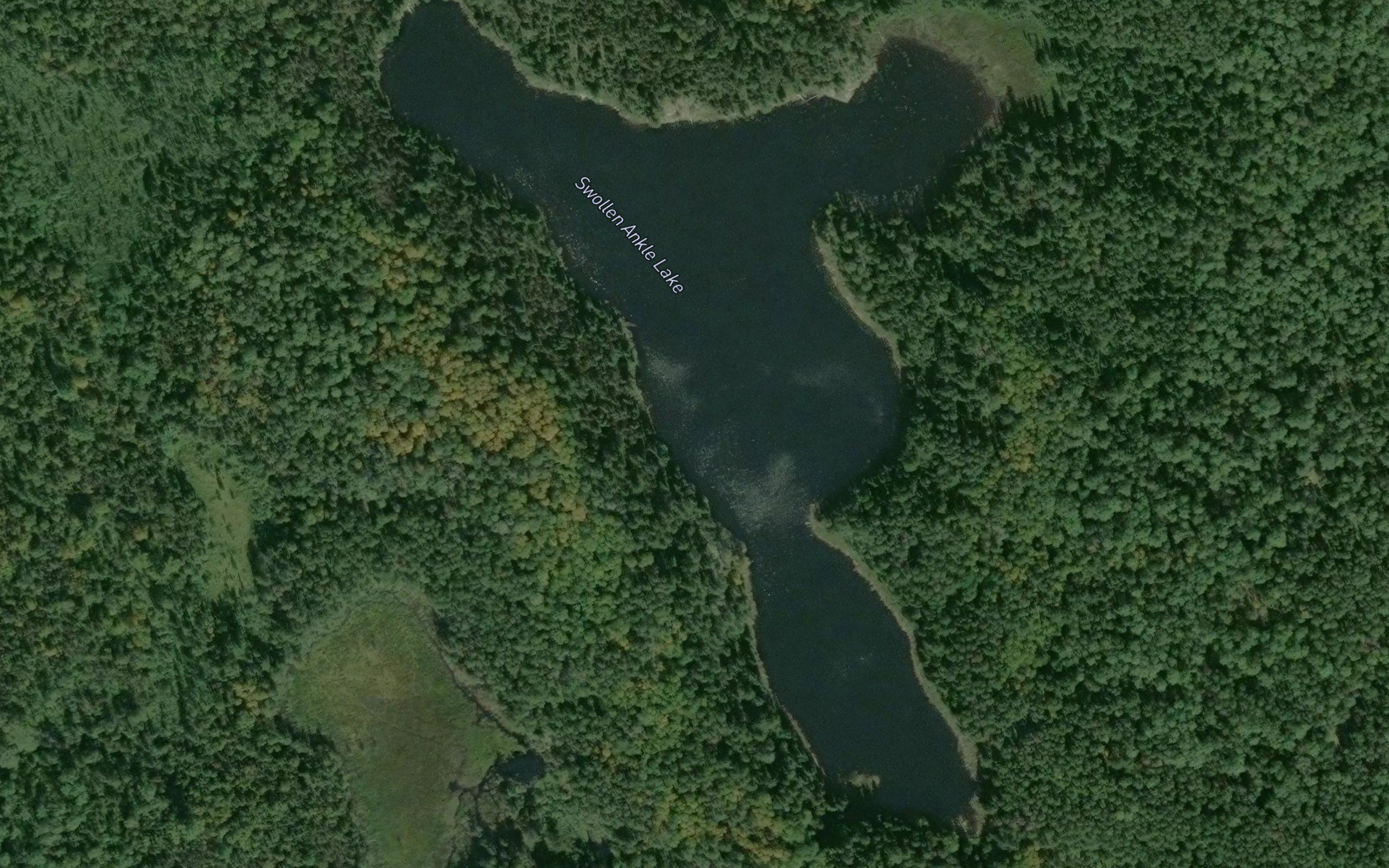 Swollen Ankle Lake