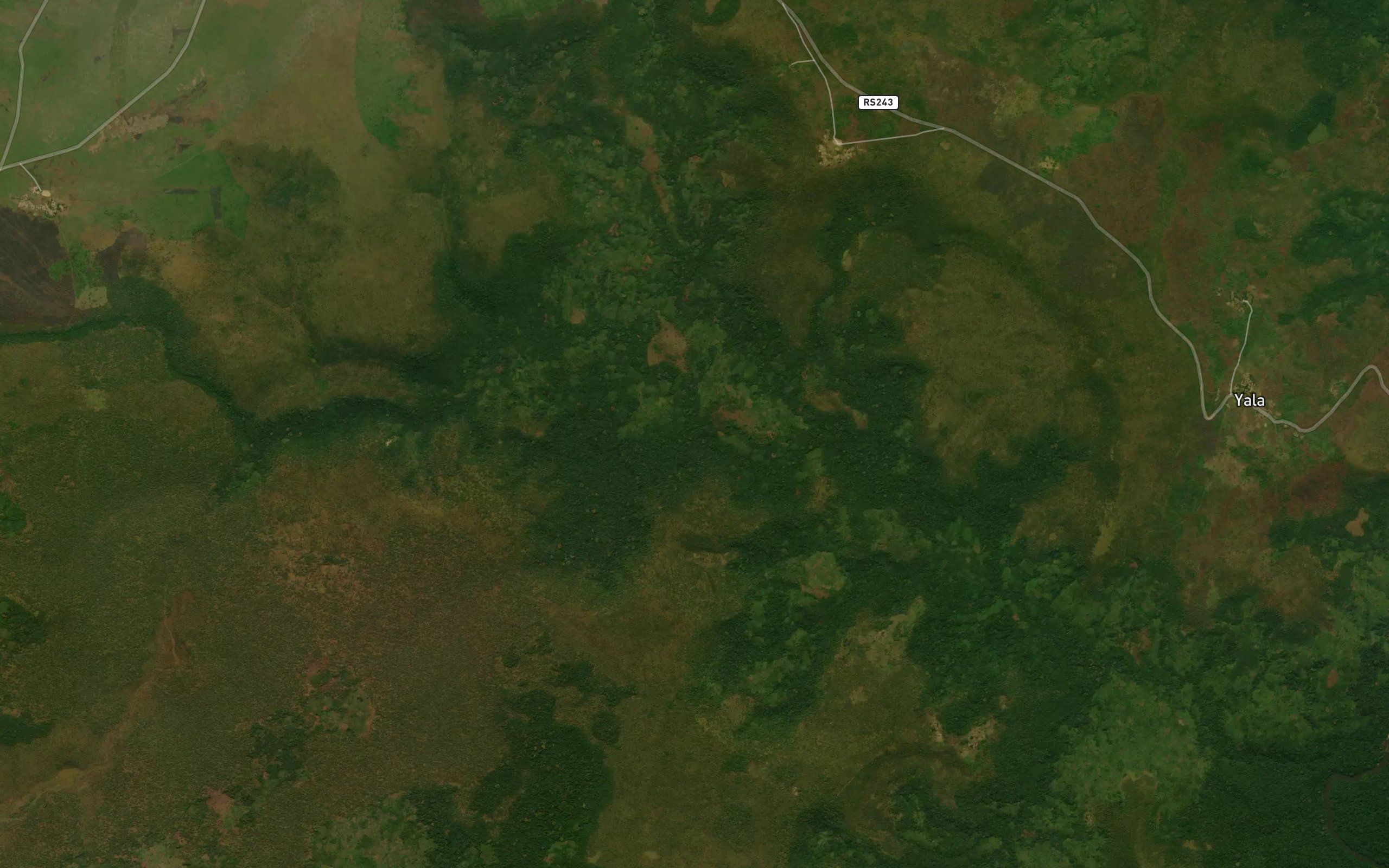 Ngulu