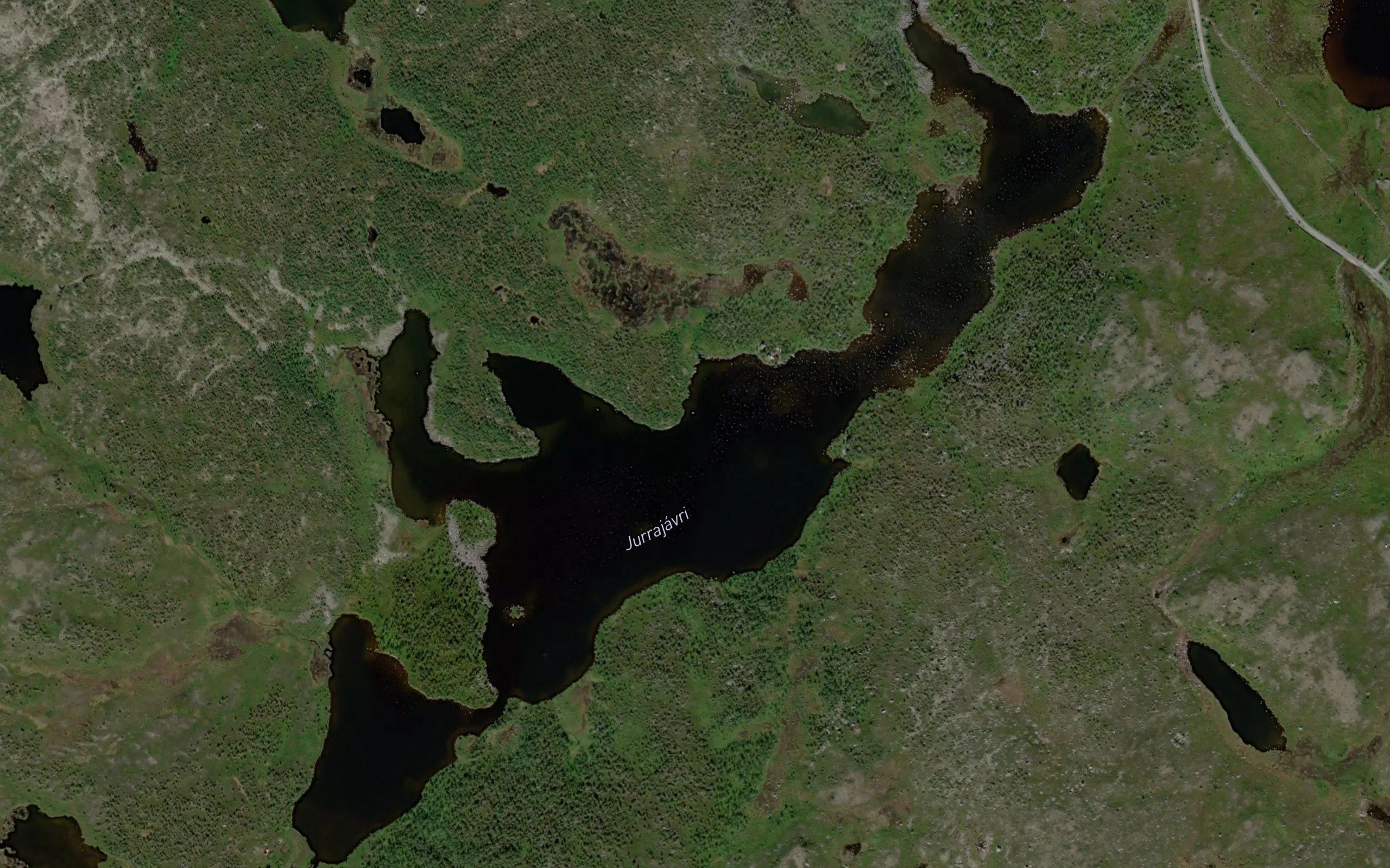 Jurrajavri