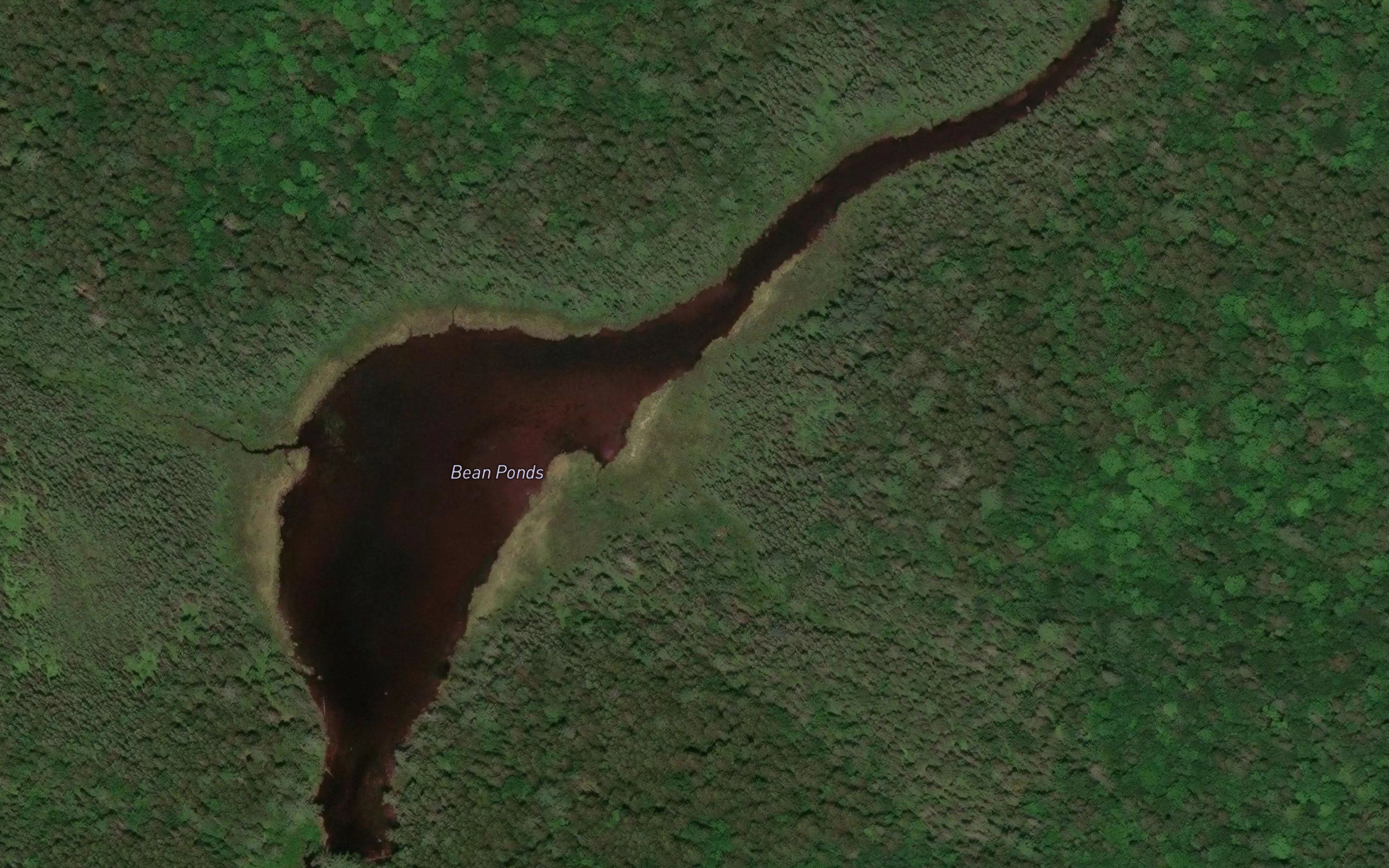 Bean Ponds