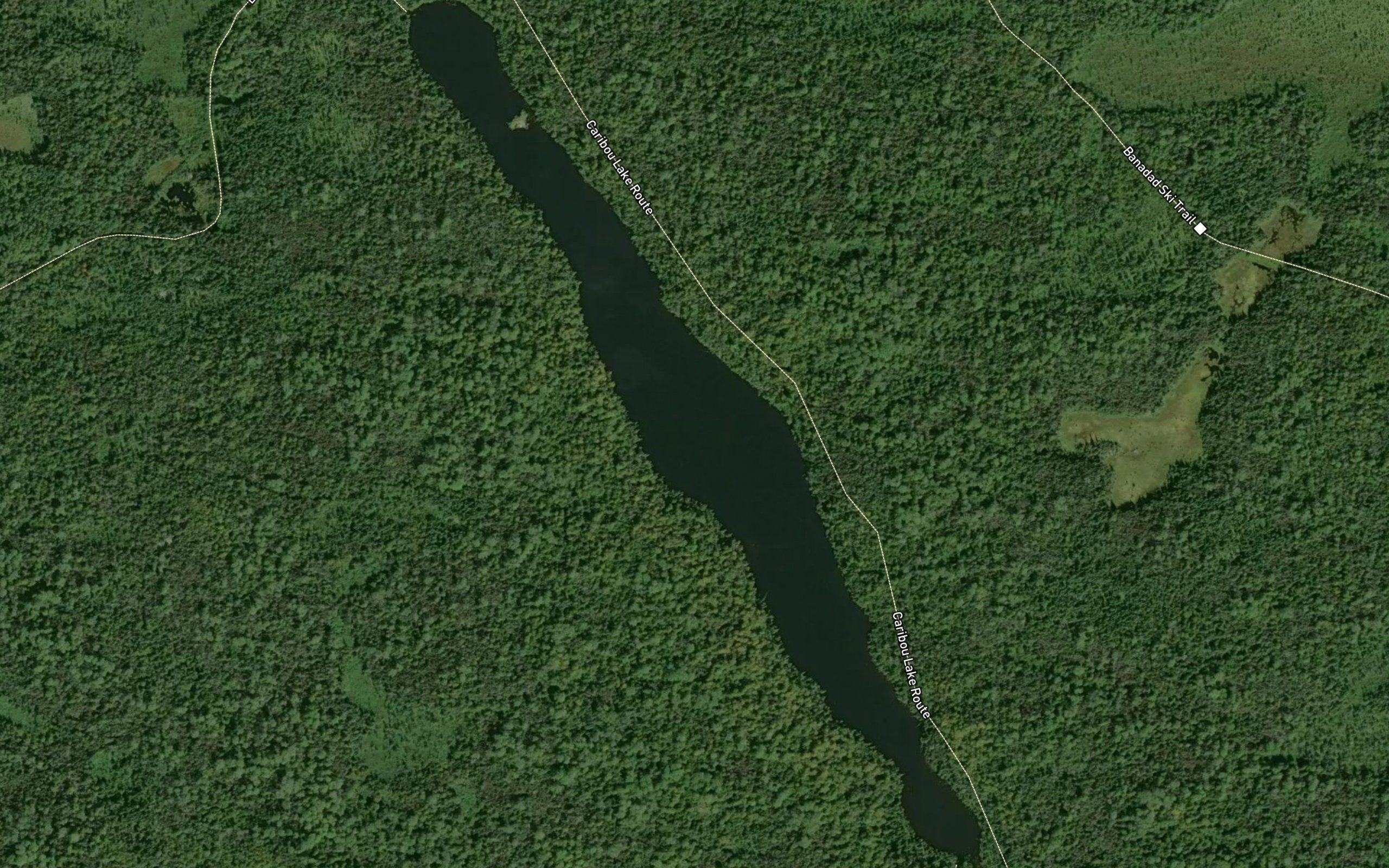 Lizz Lake