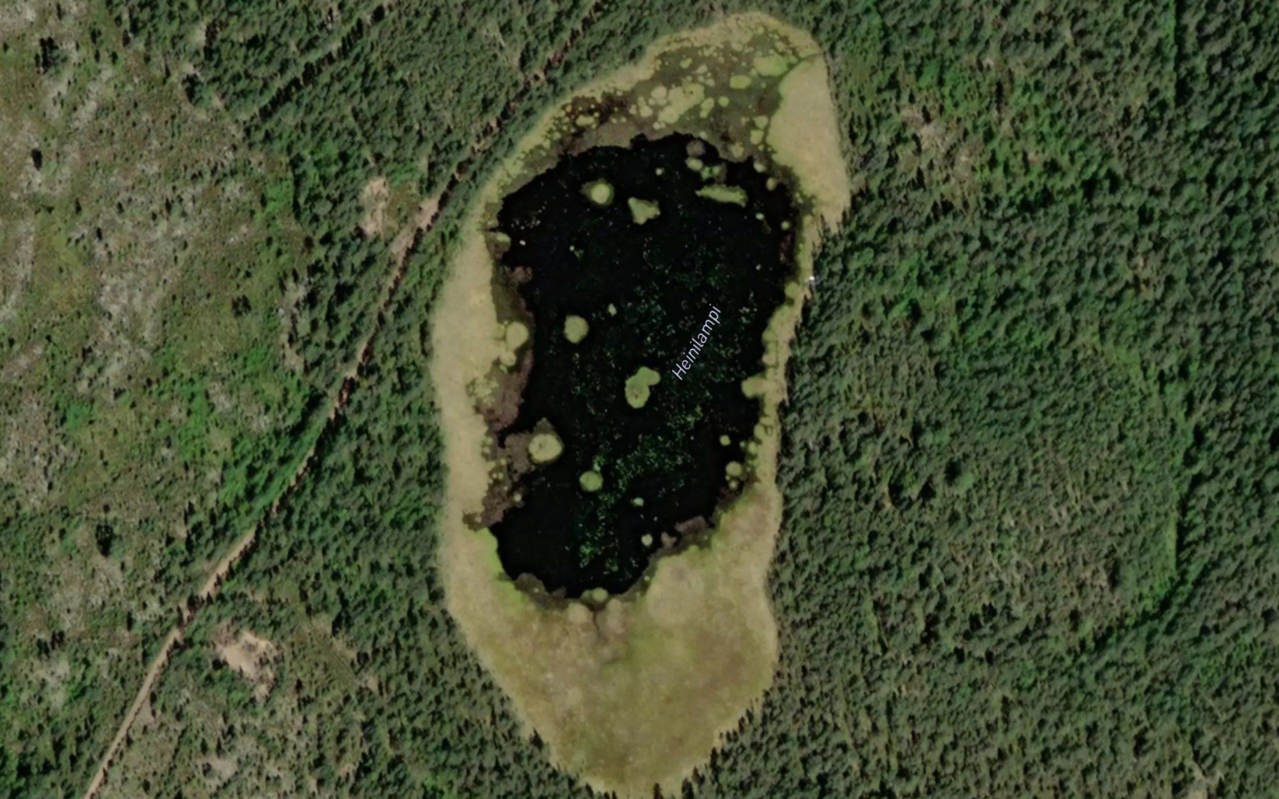 Heinilampi
