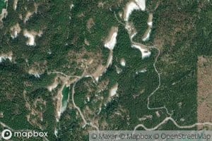 Cougar Lake