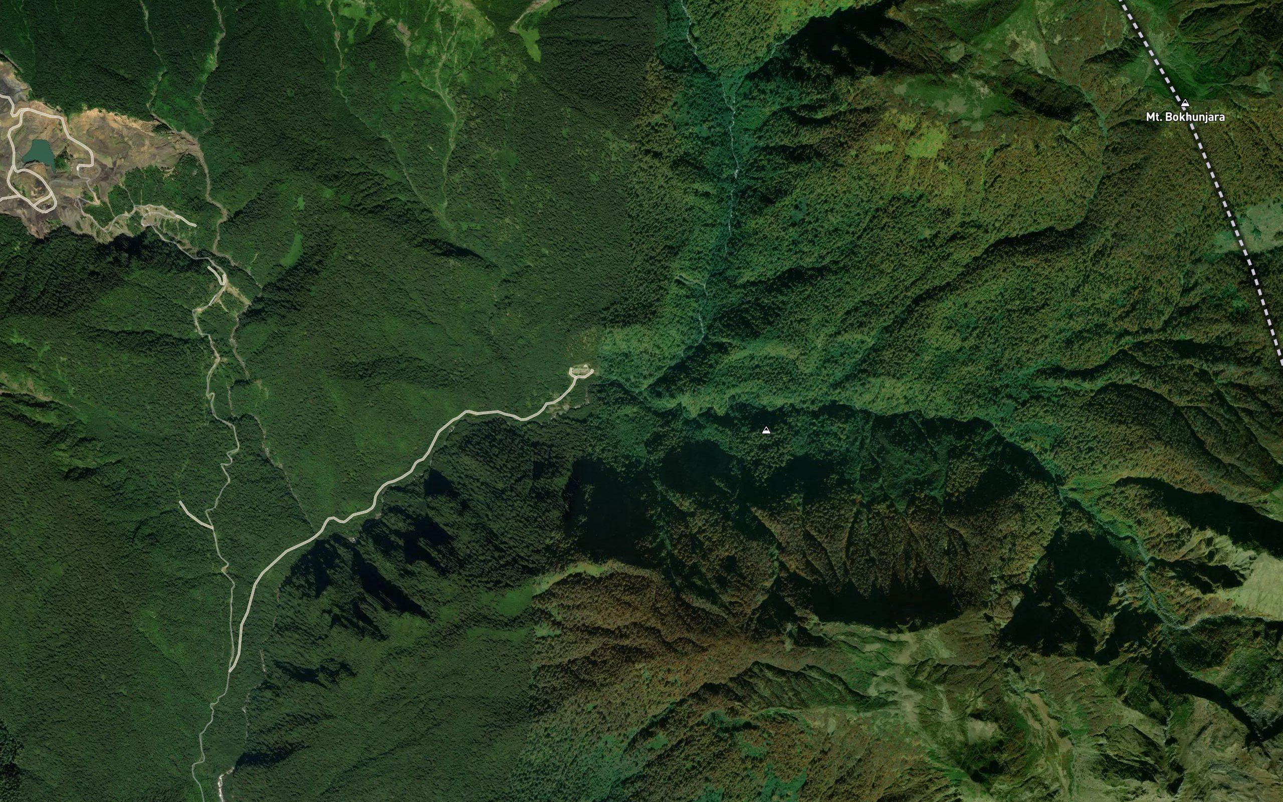 Avichikva