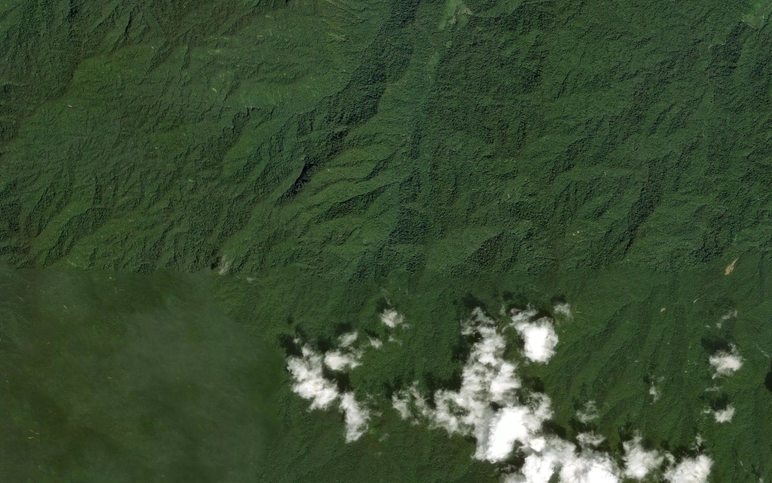 Botau Siloiya