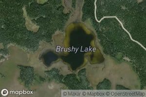 Brushy Lake
