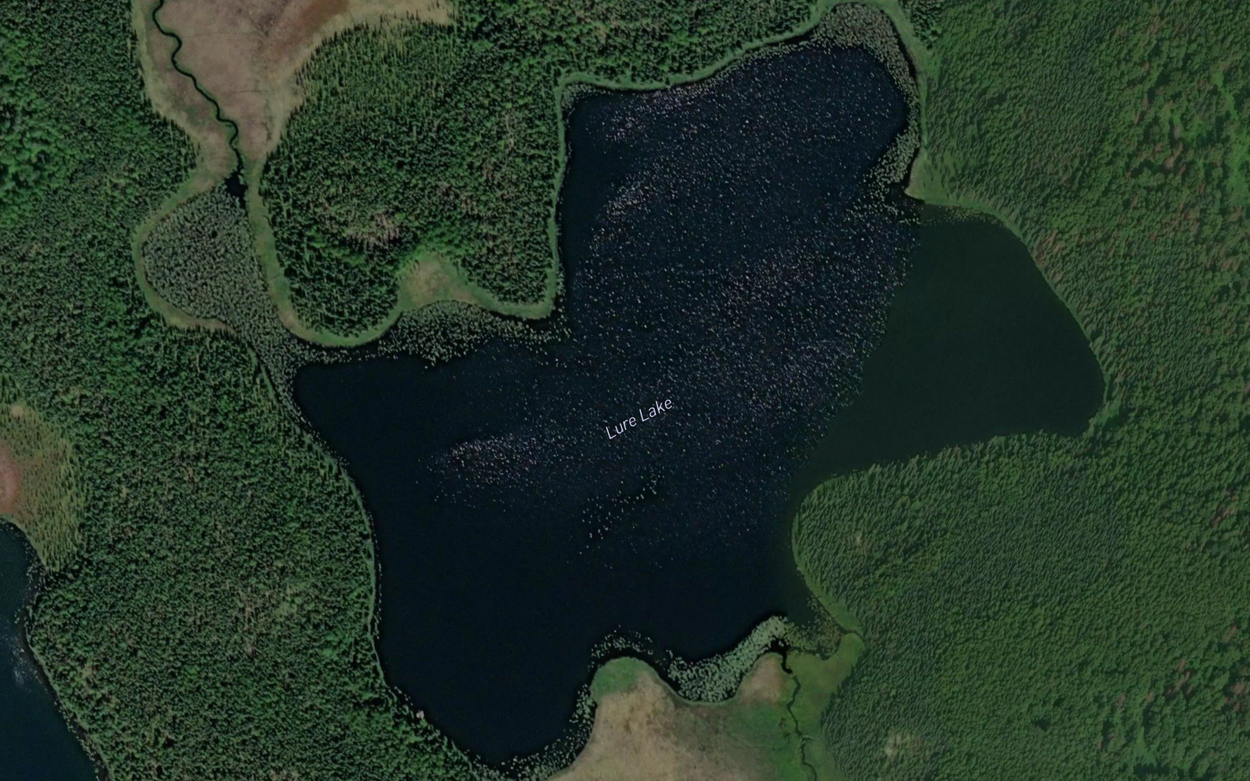 Lure Lake