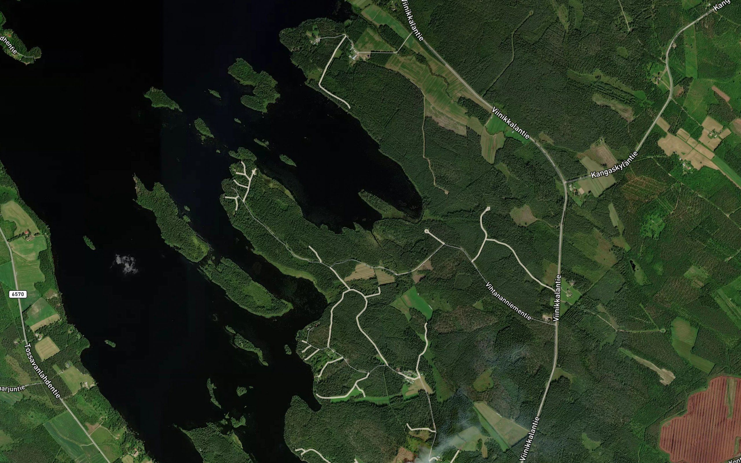 Patajoki