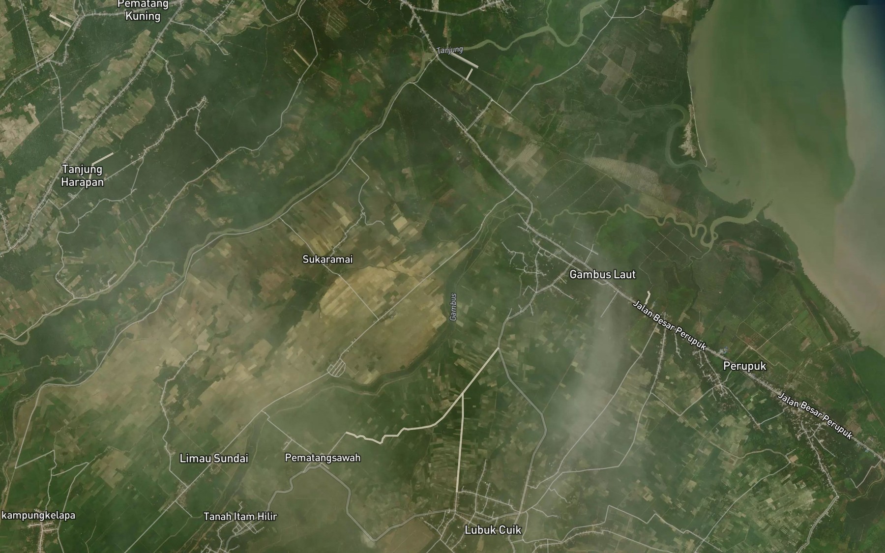 Satellite map of the Sungai Rotansogo