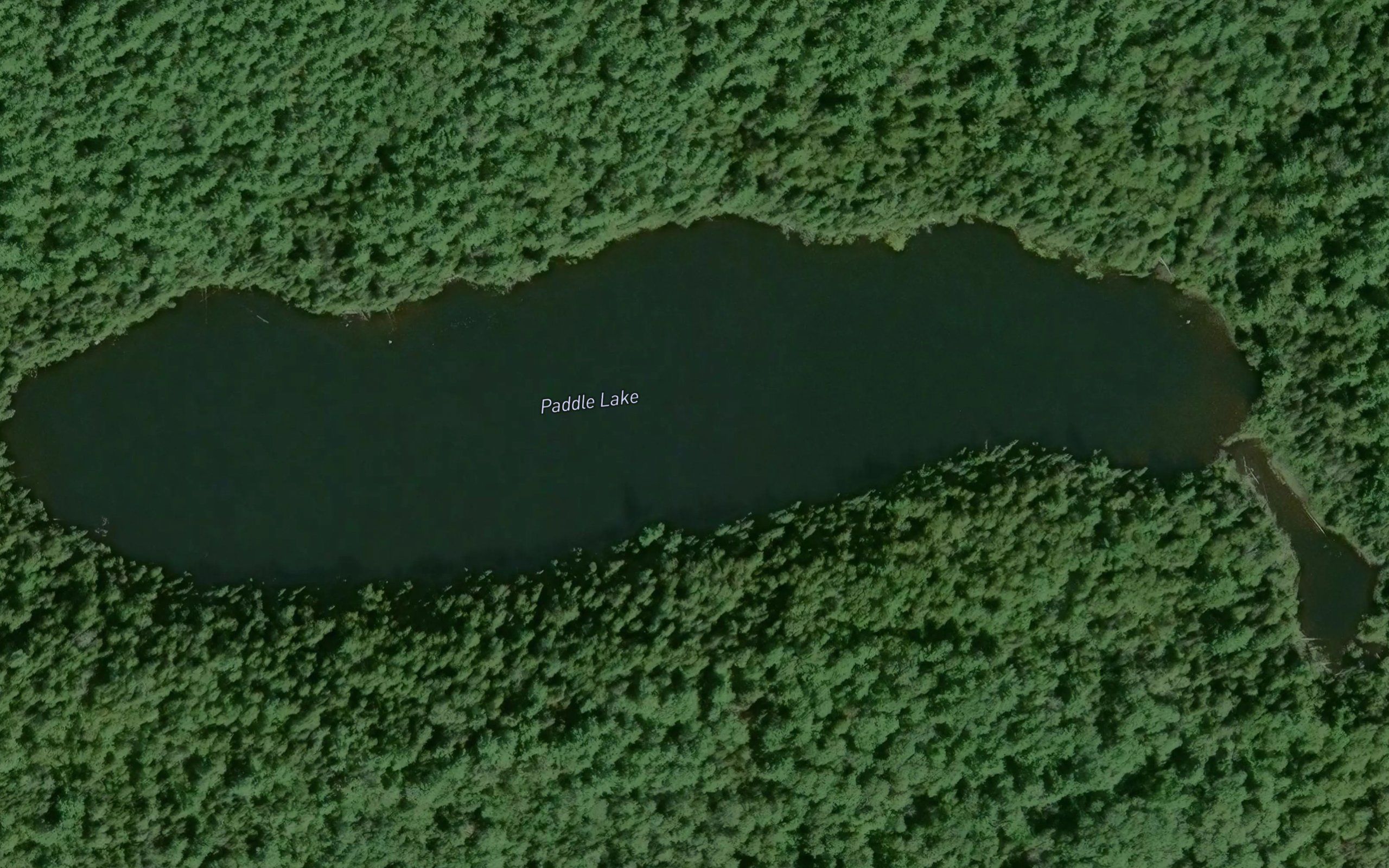 Paddle Lake