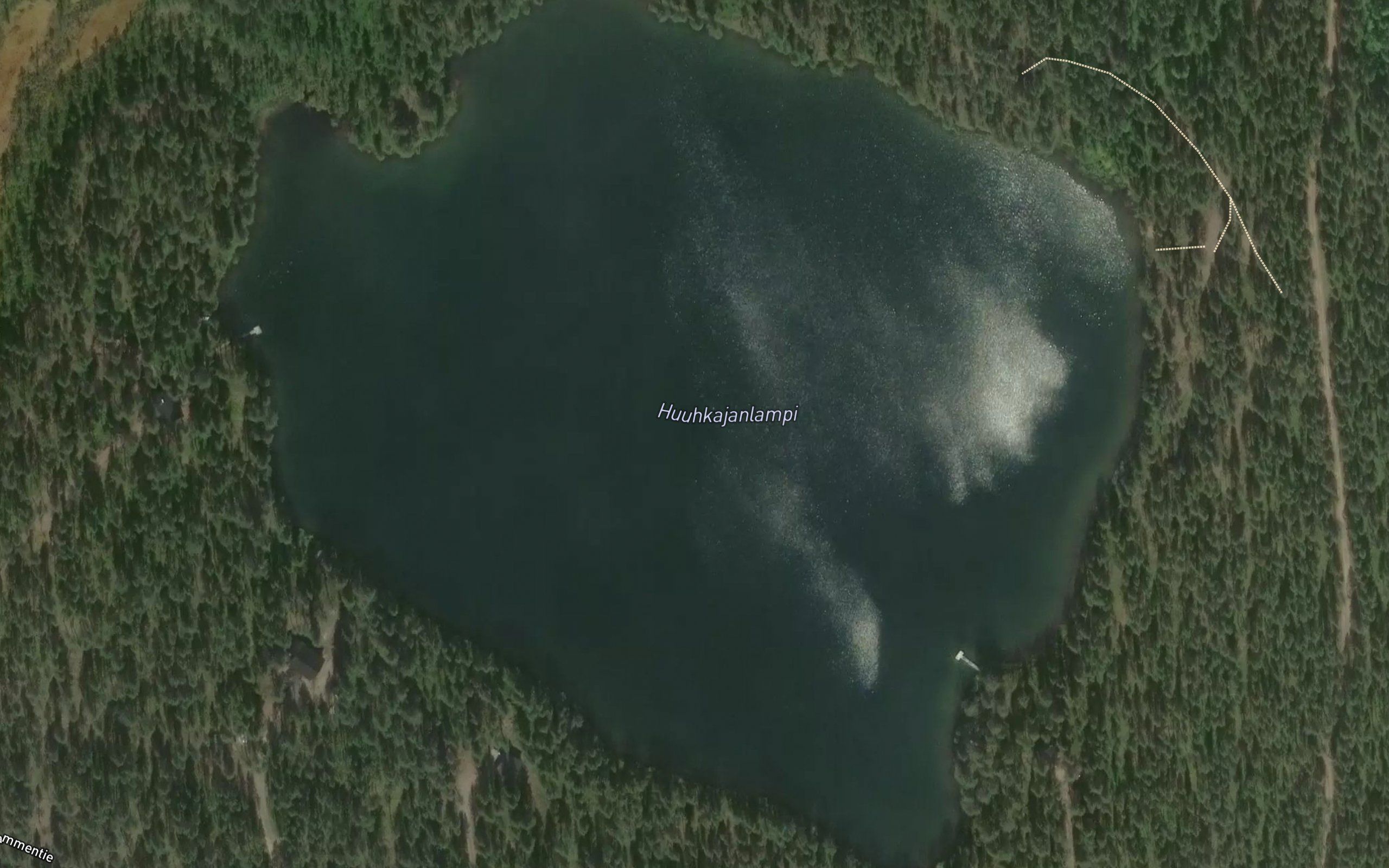 Huuhkajalampi