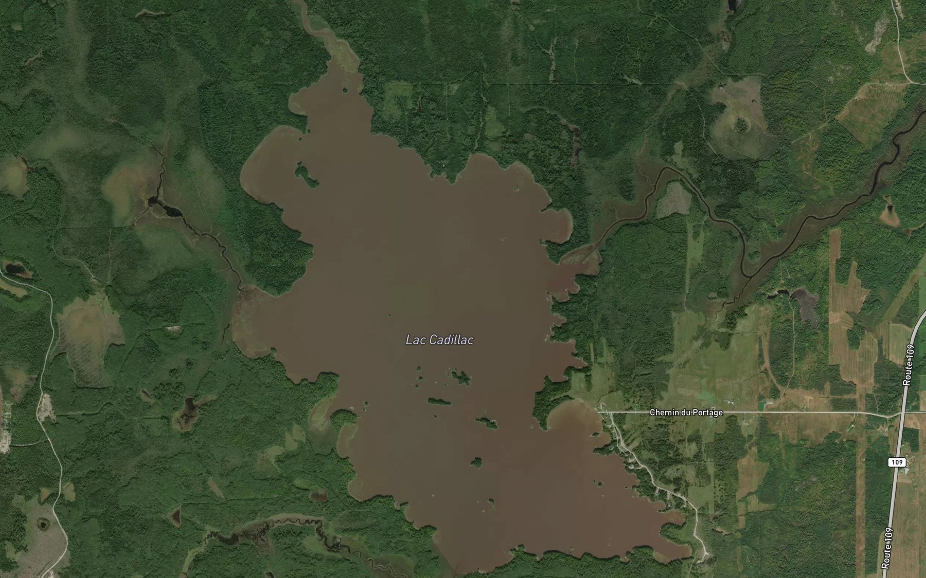 Satellite map of the Lac Cadillac