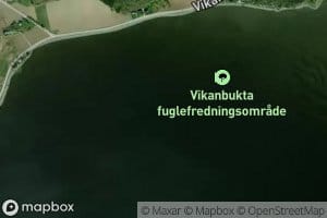 Vikbukta