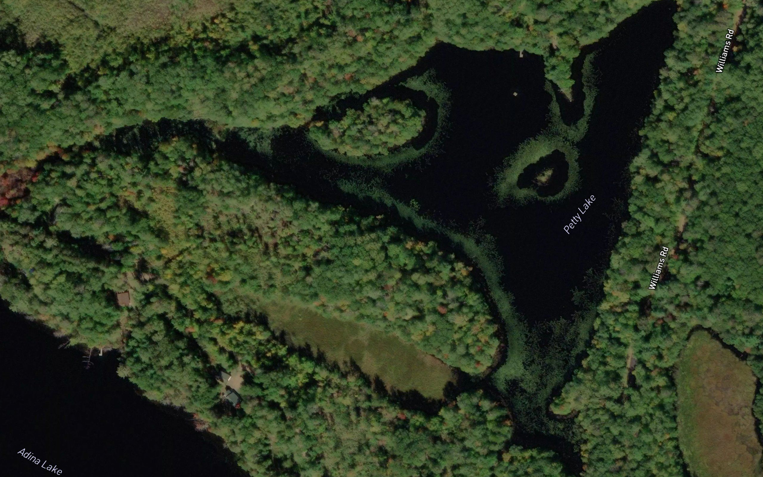 Petty Lake