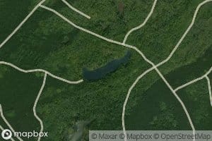 Wiener Lake