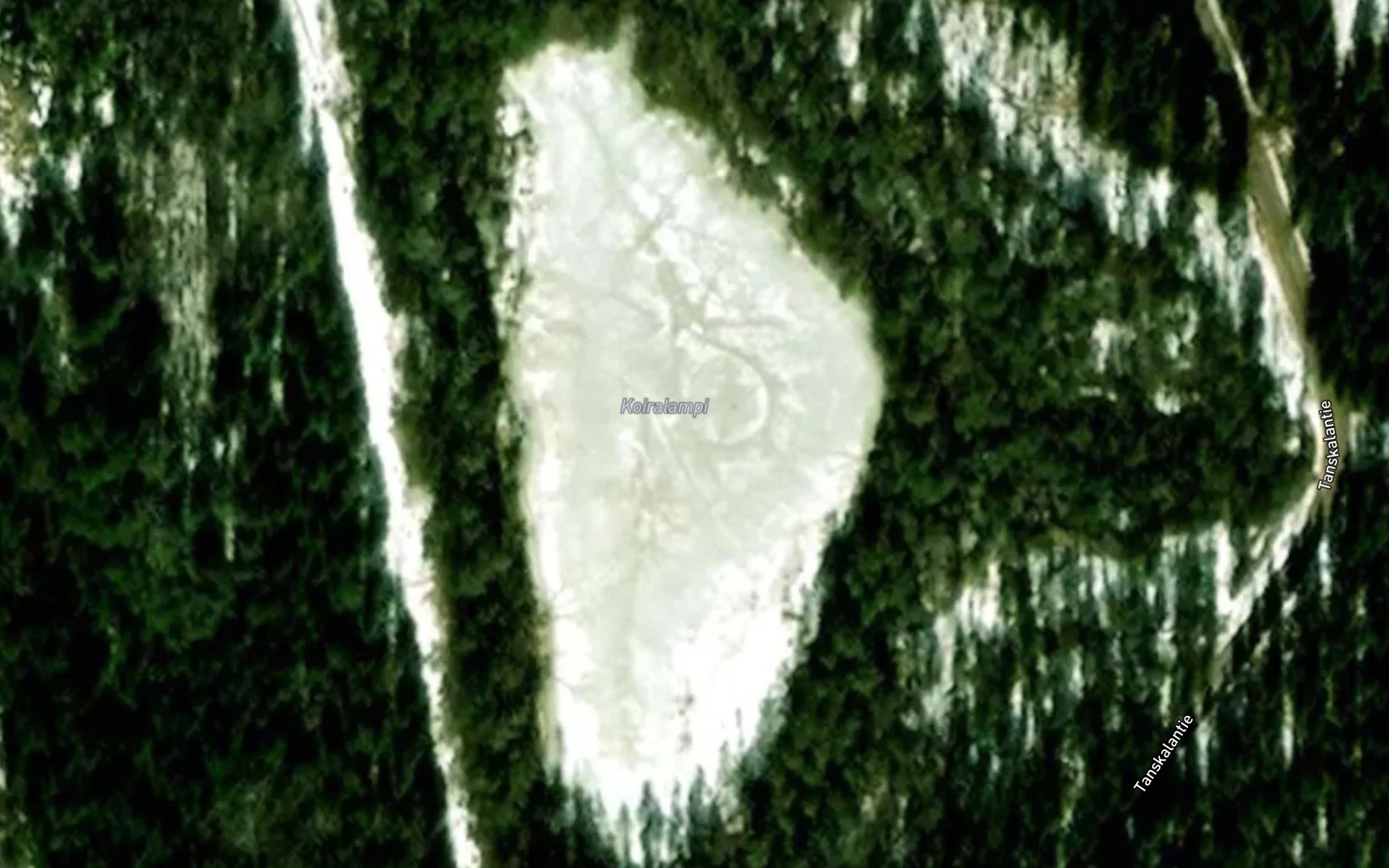 Satellite map of the Koiralampi