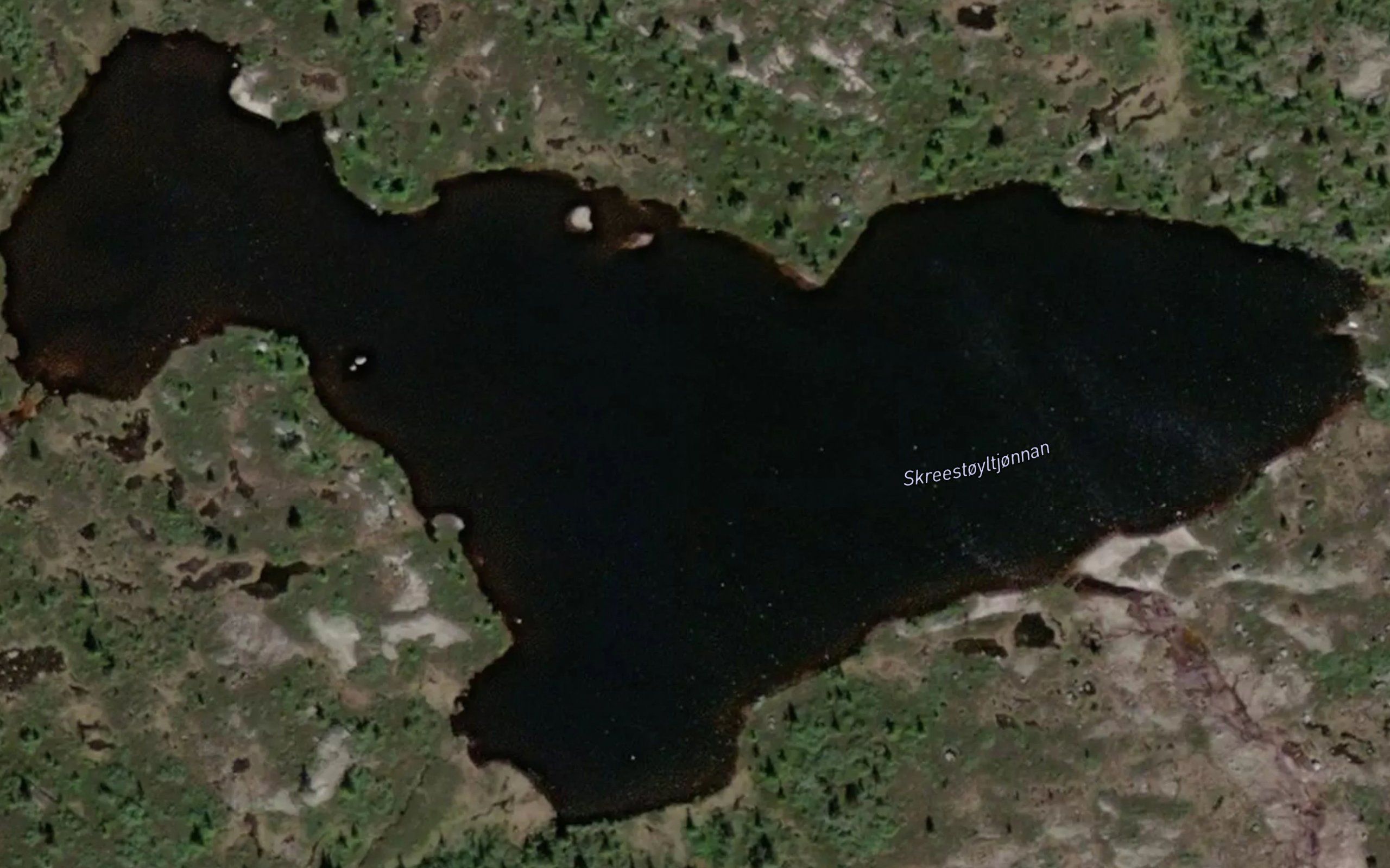 Skredstoyltjornan