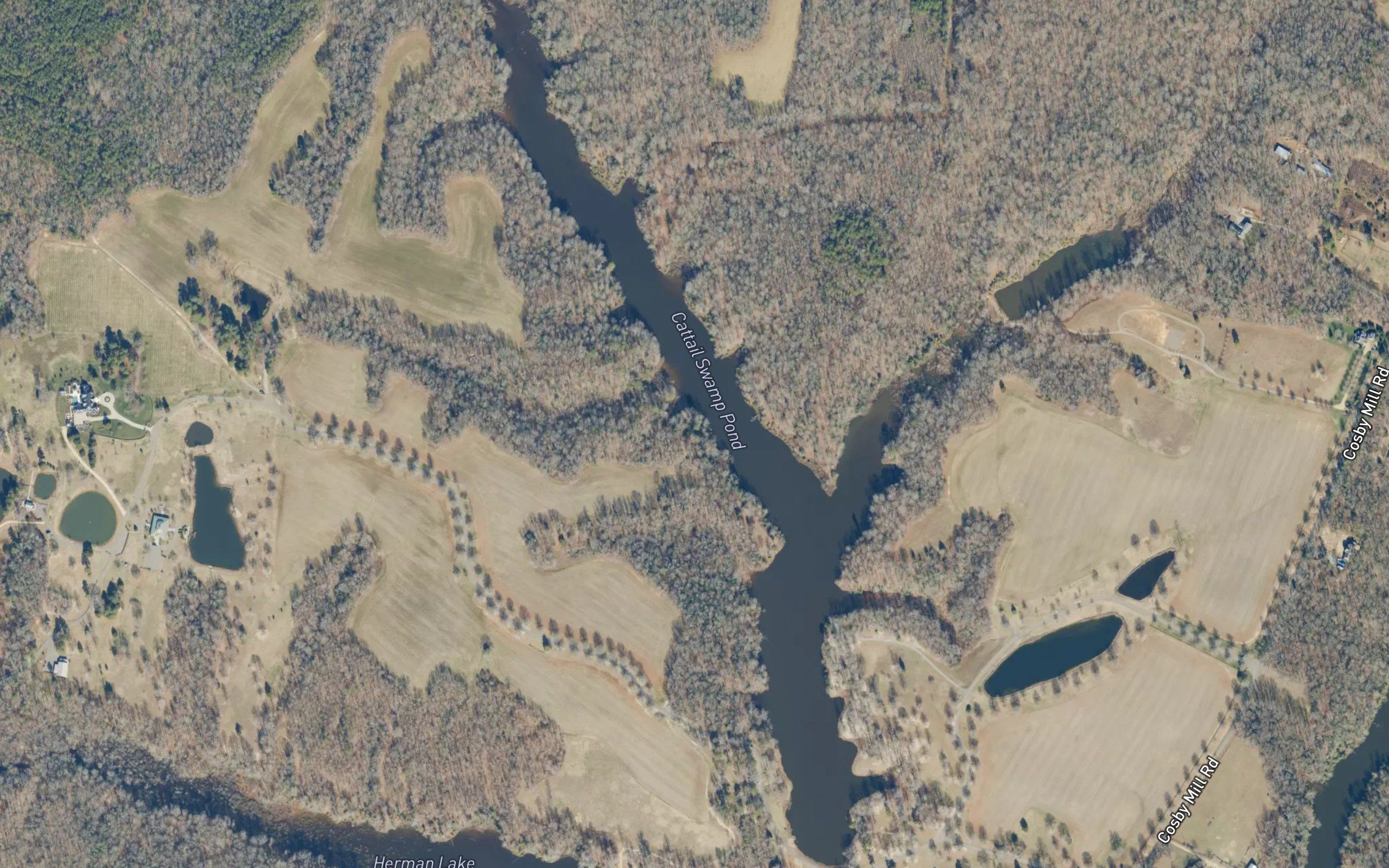 Cattail Swamp Pond
