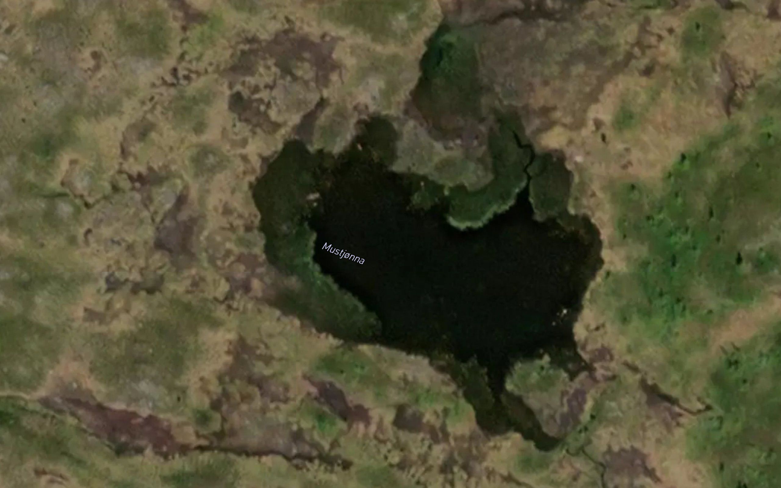 Mustjonna