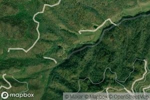 Laurel Branch