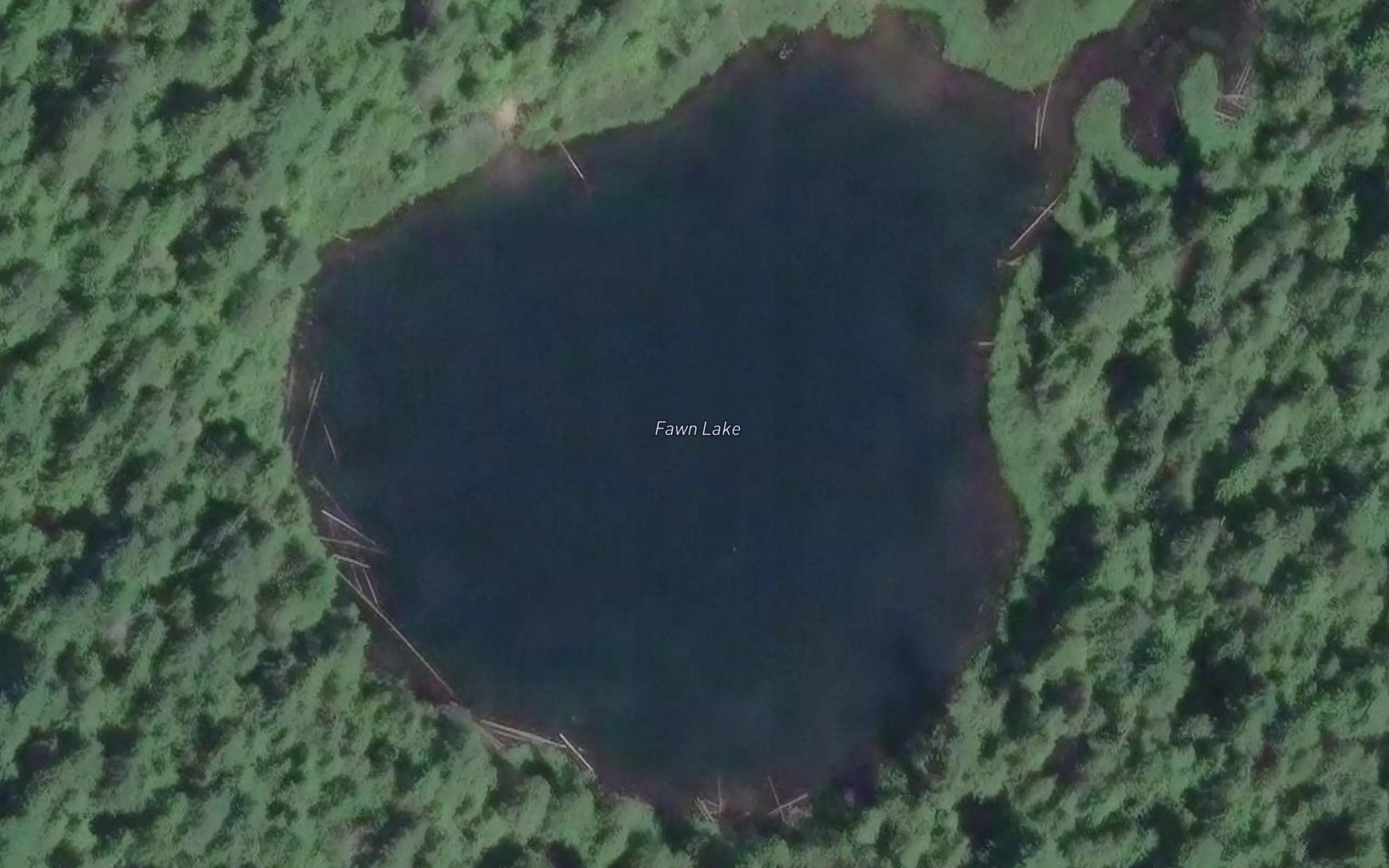 Fawn Lake